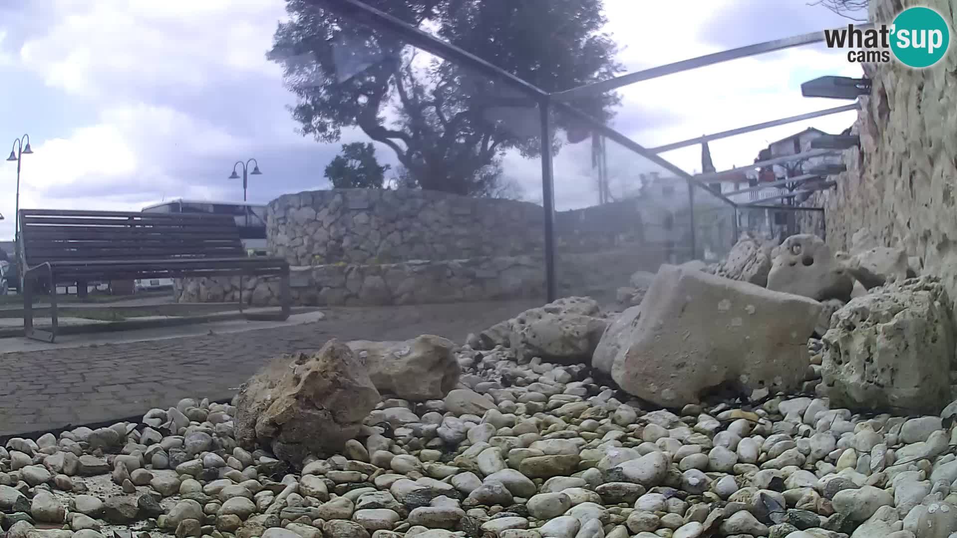 Aquario marino esterno –  Rogoznica livecam Croazia