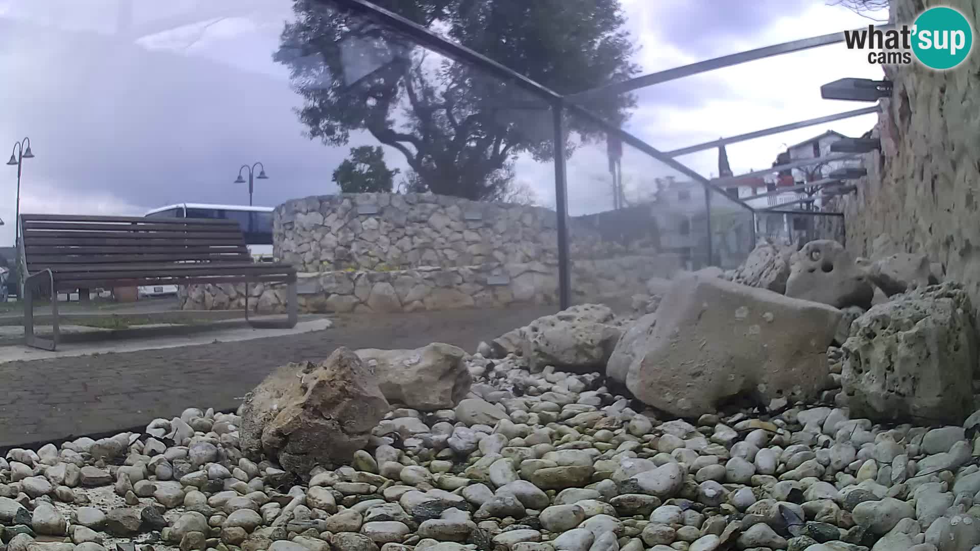 Marine Aquarium im Freien Rogoznica webcam Kroatien