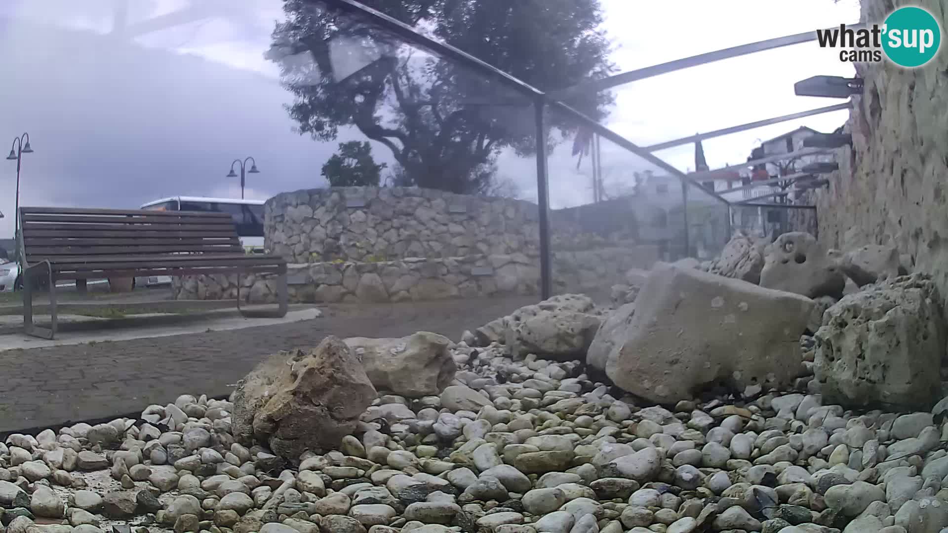 Zunanji morski akvarij Rogoznica spletna kamera Hrvaška