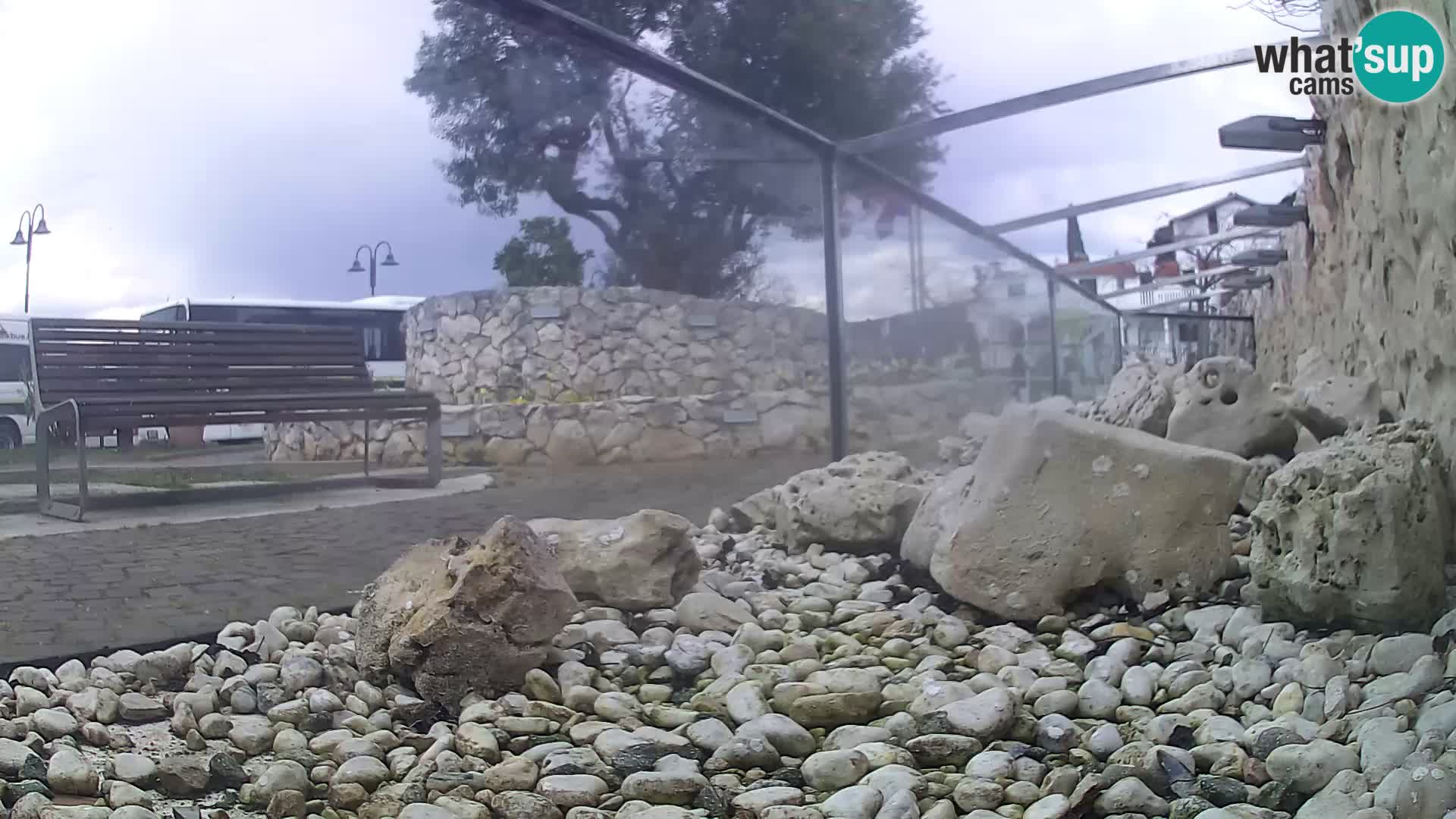 Marine Aquarium im Freien Rogoznica webcam Kroatien