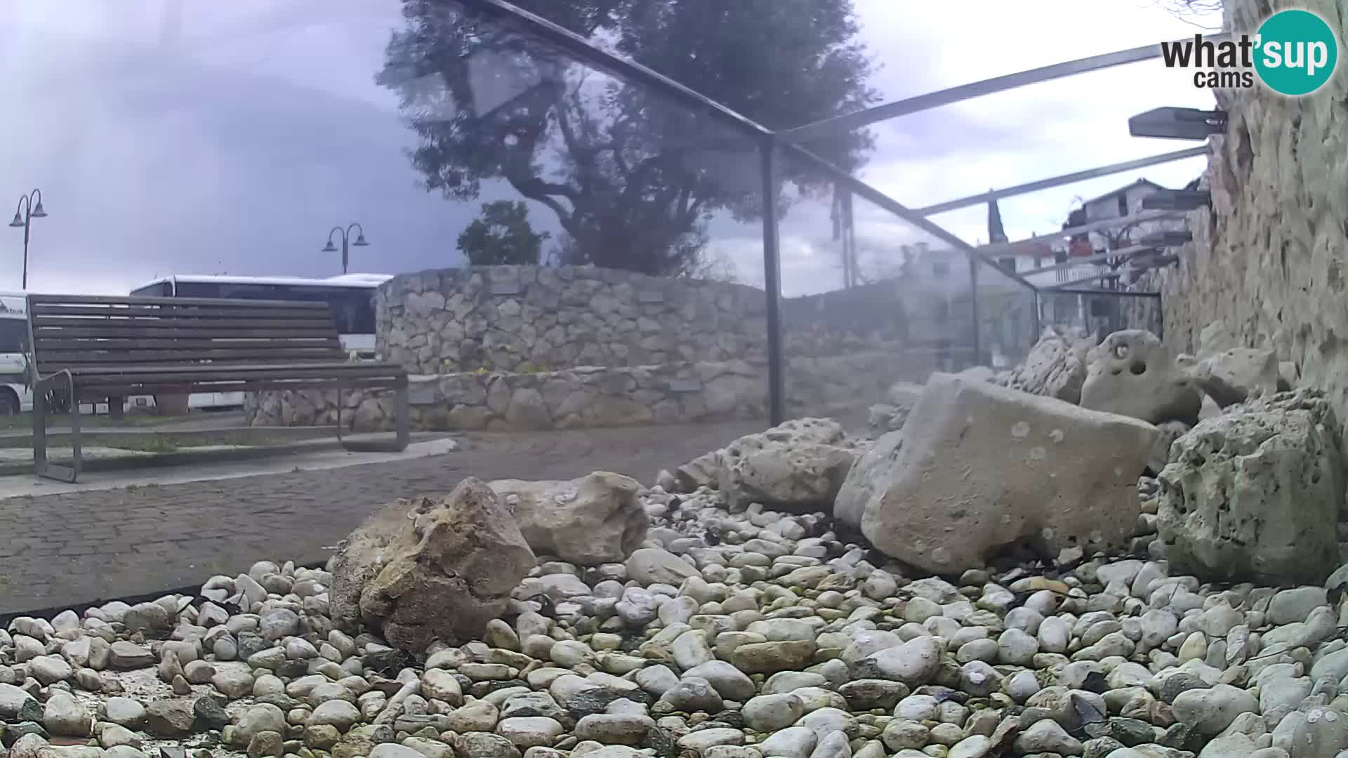 Acuario marino al aire libre Rogoznica webcam Croacia