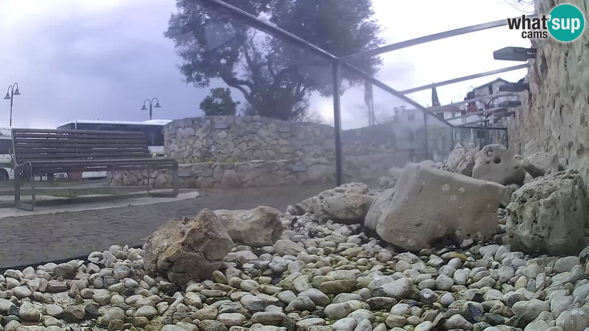 Acuario marino al aire libre Rogoznica webcam Croacia