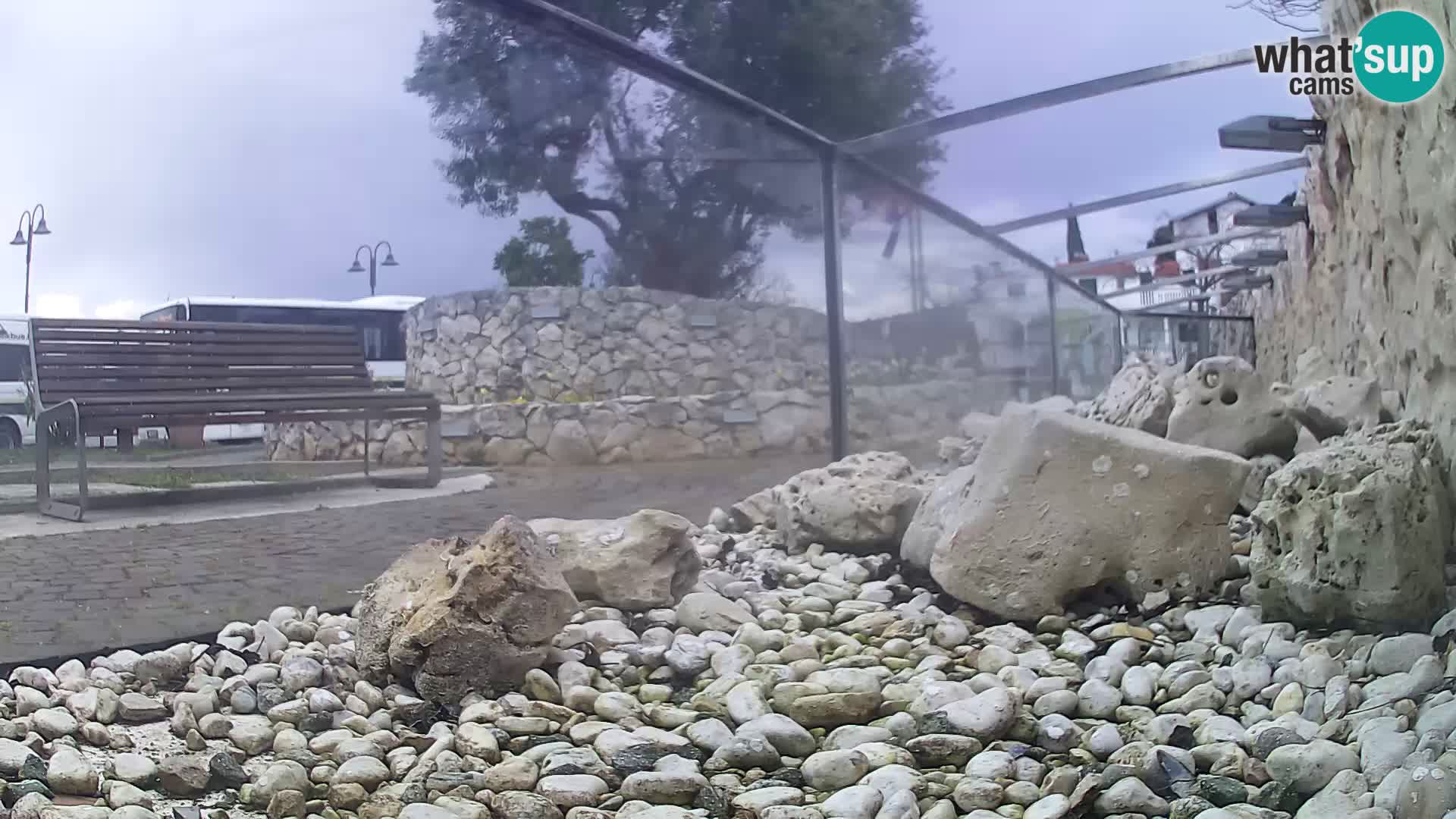 Aquario marino esterno –  Rogoznica livecam Croazia