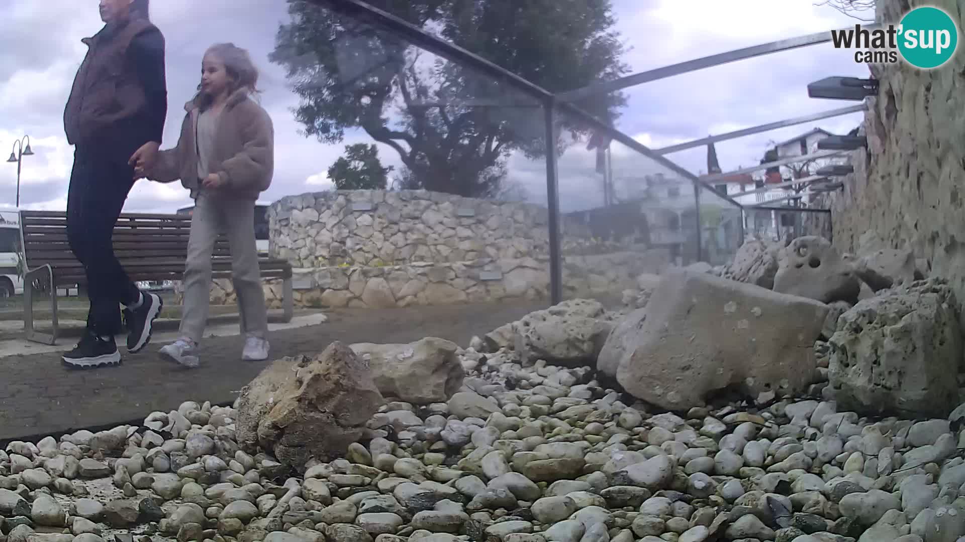 Zunanji morski akvarij Rogoznica spletna kamera Hrvaška