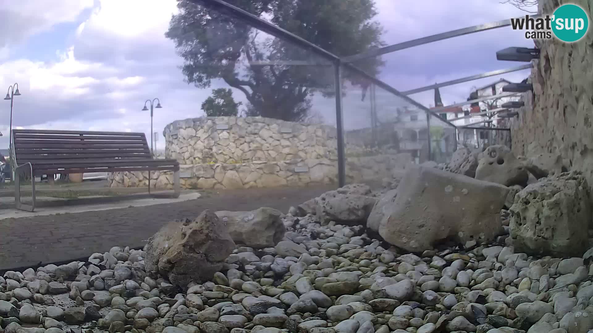 Acuario marino al aire libre Rogoznica webcam Croacia