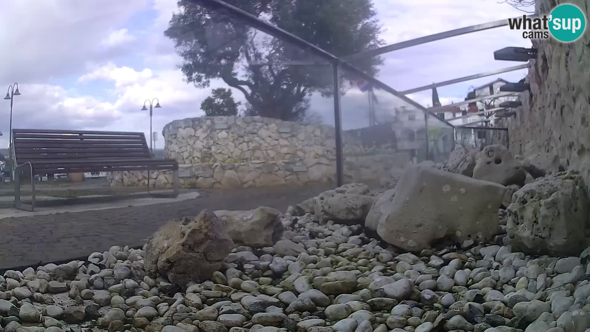 Outdoor Marine Aquarium Rogoznica webcam Croatia