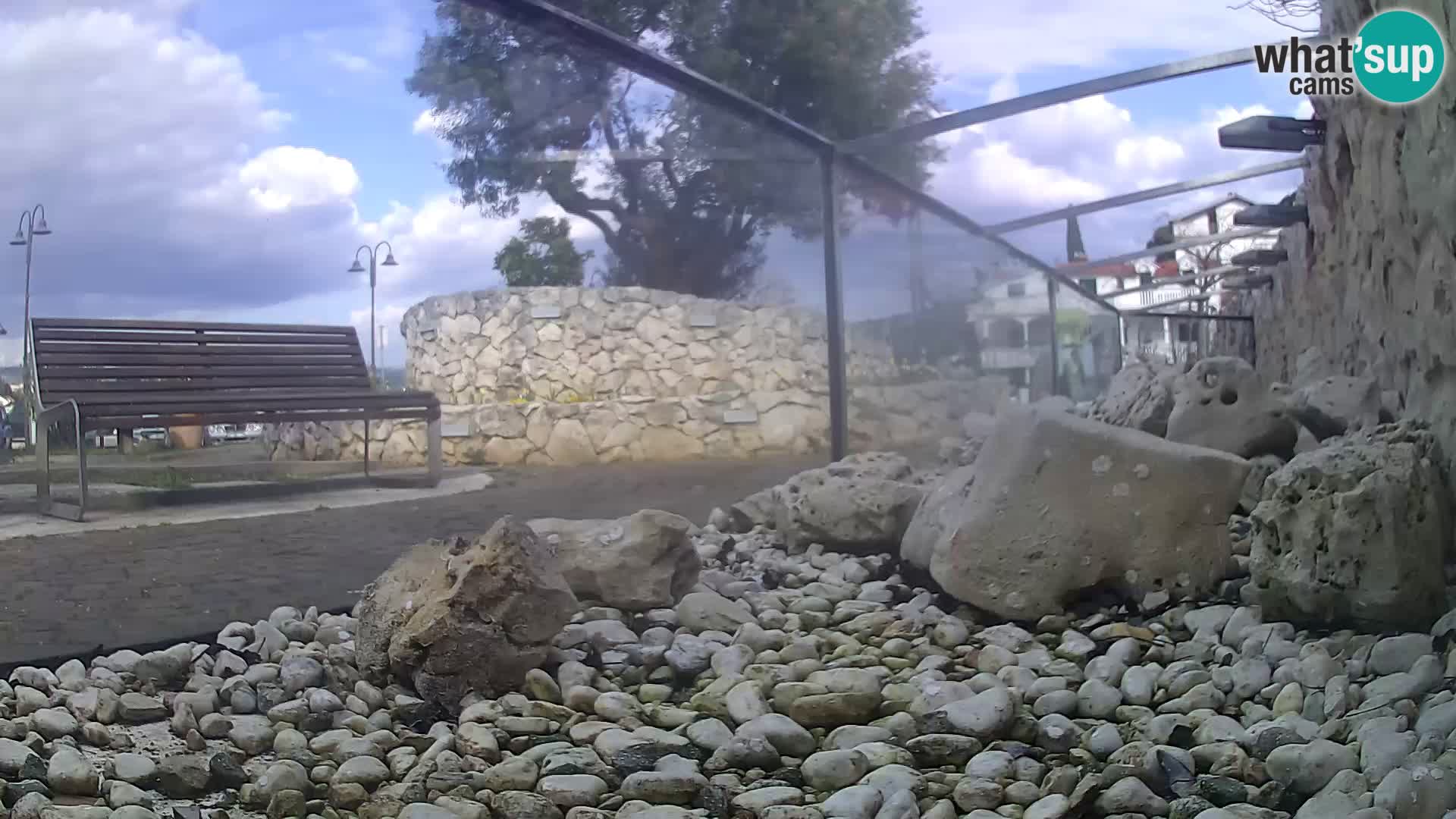 Marine Aquarium im Freien Rogoznica webcam Kroatien