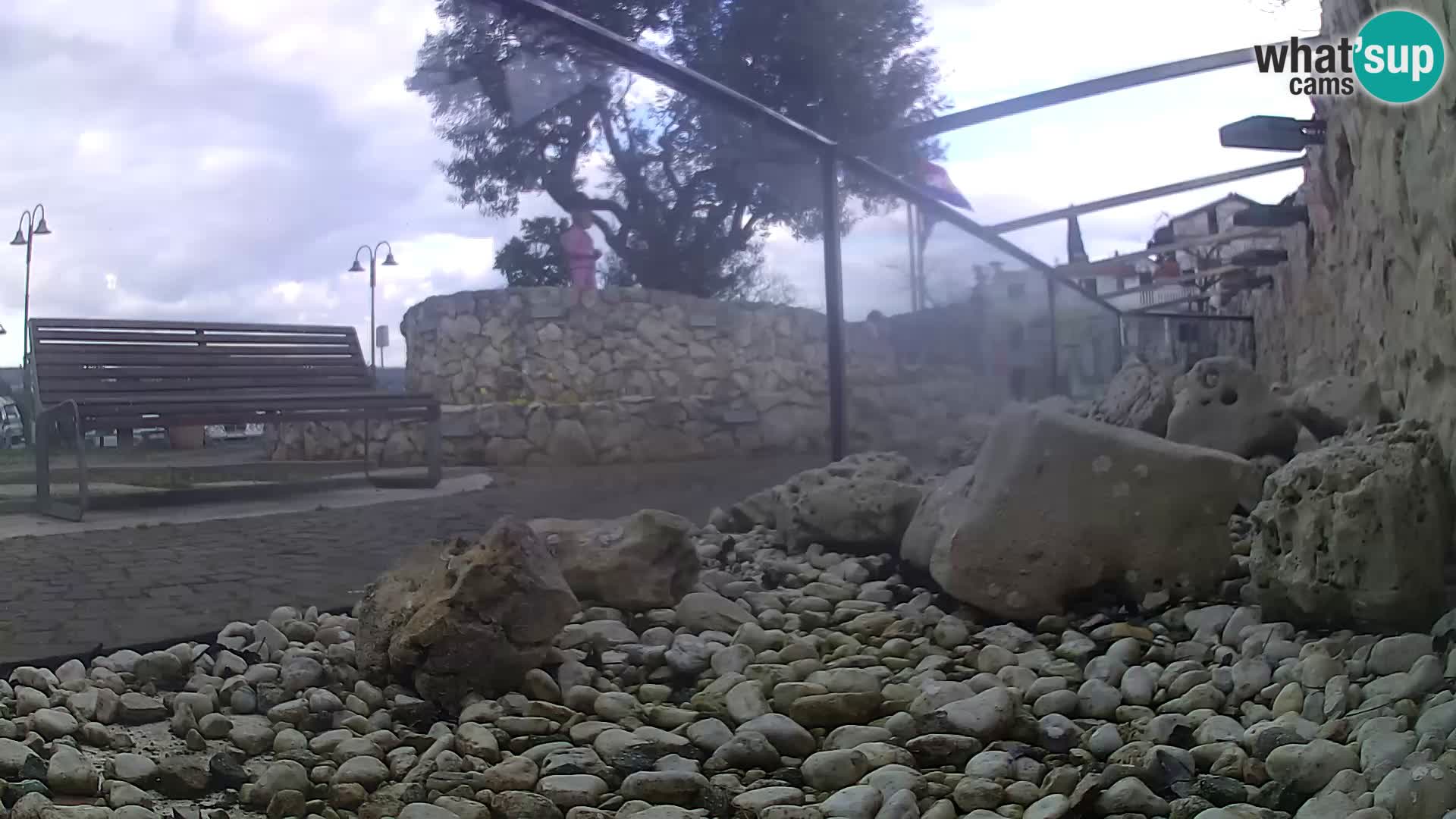 Zunanji morski akvarij Rogoznica spletna kamera Hrvaška