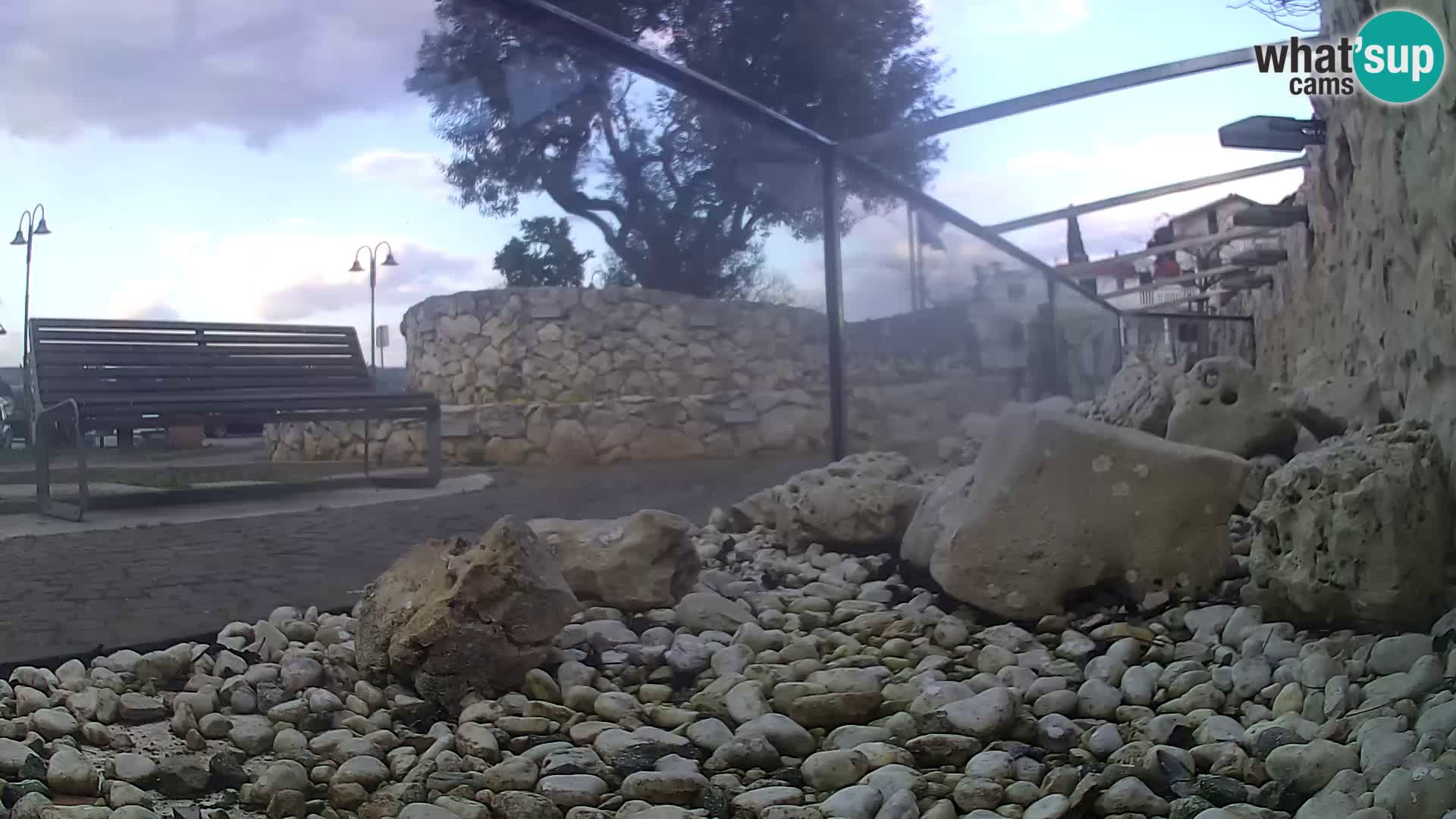 Acuario marino al aire libre Rogoznica webcam Croacia