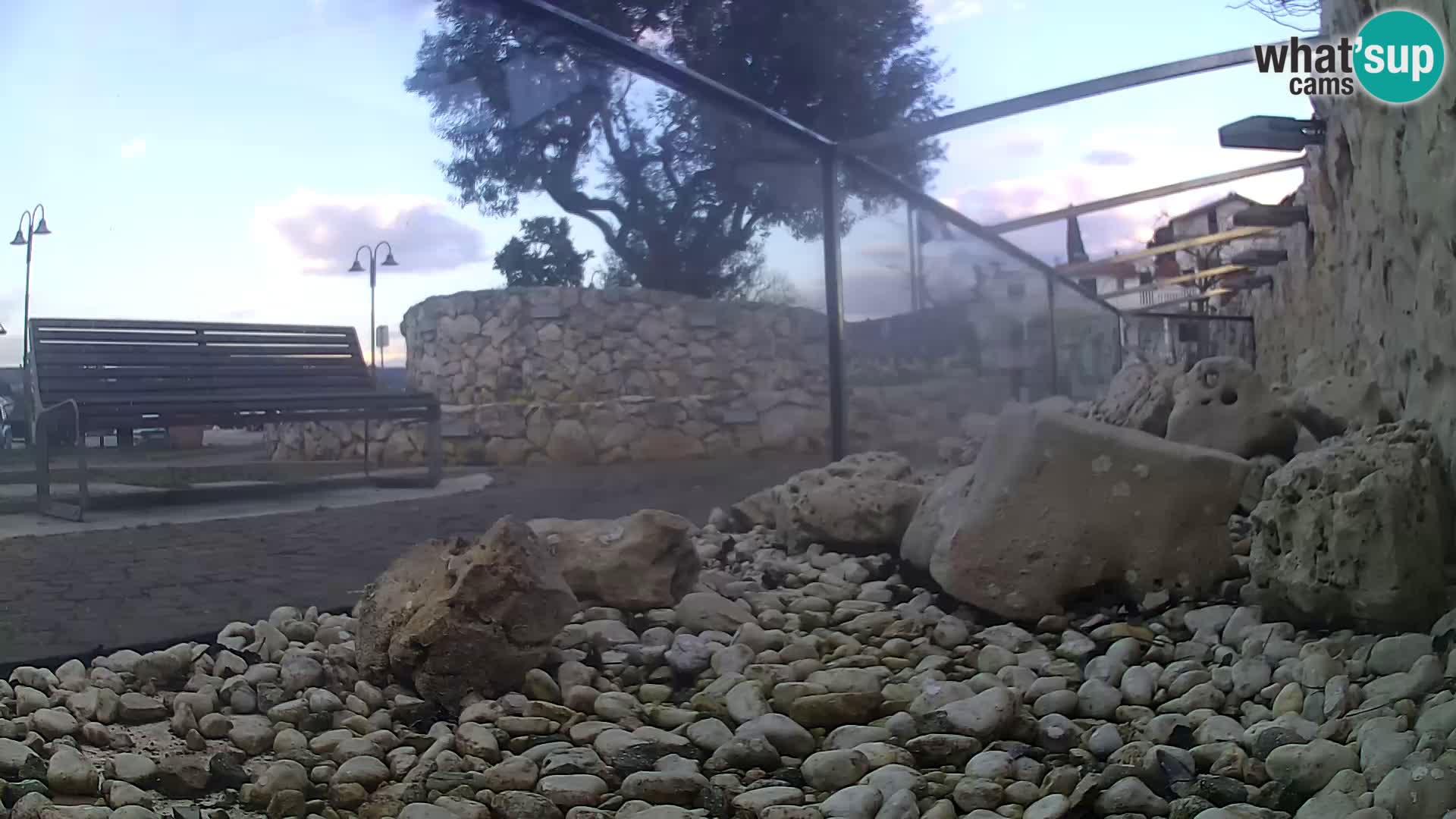 Aquario marino esterno –  Rogoznica livecam Croazia