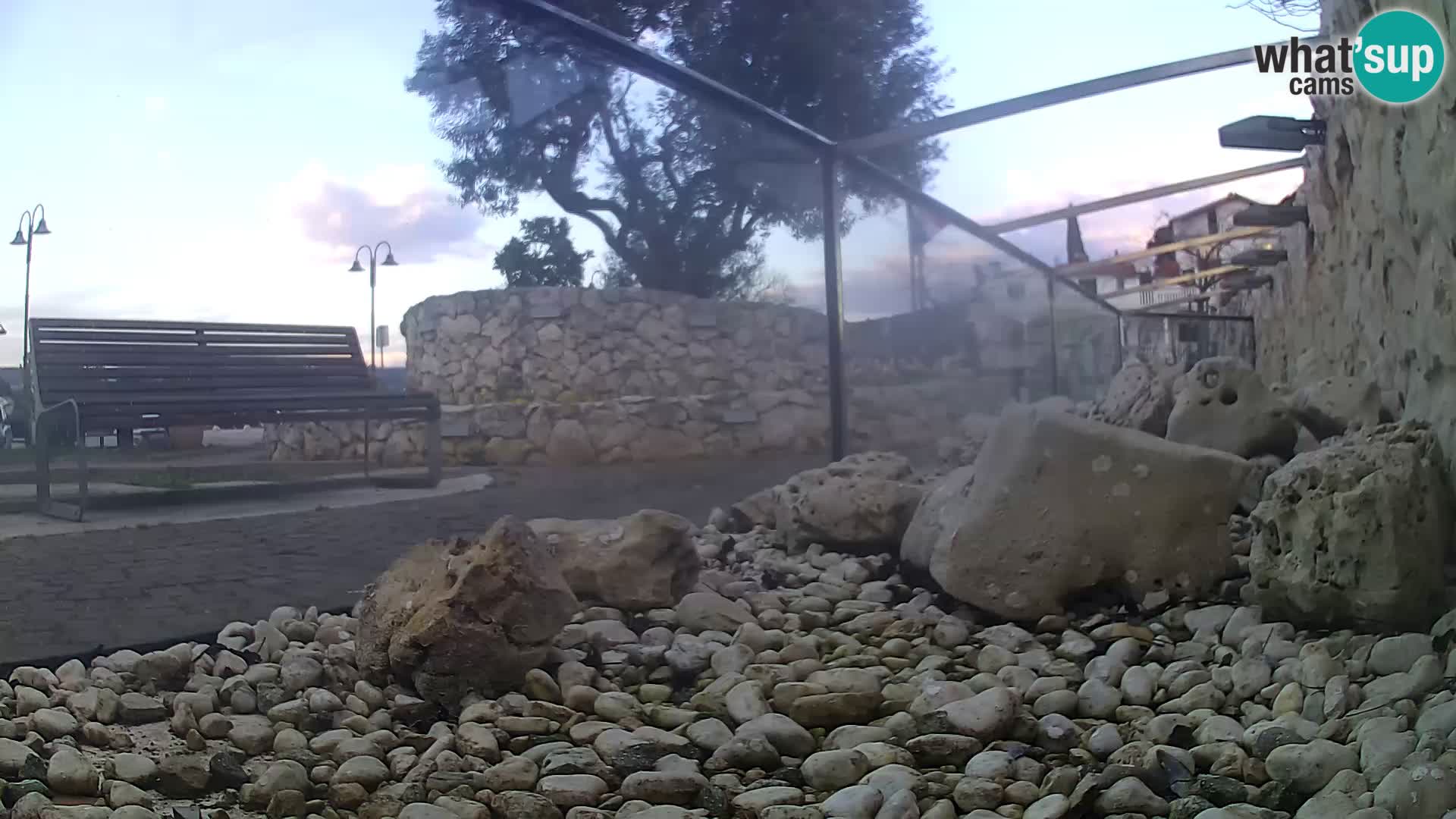 Webcam de l’aquarium marin extérieur de Rogoznica Croatie