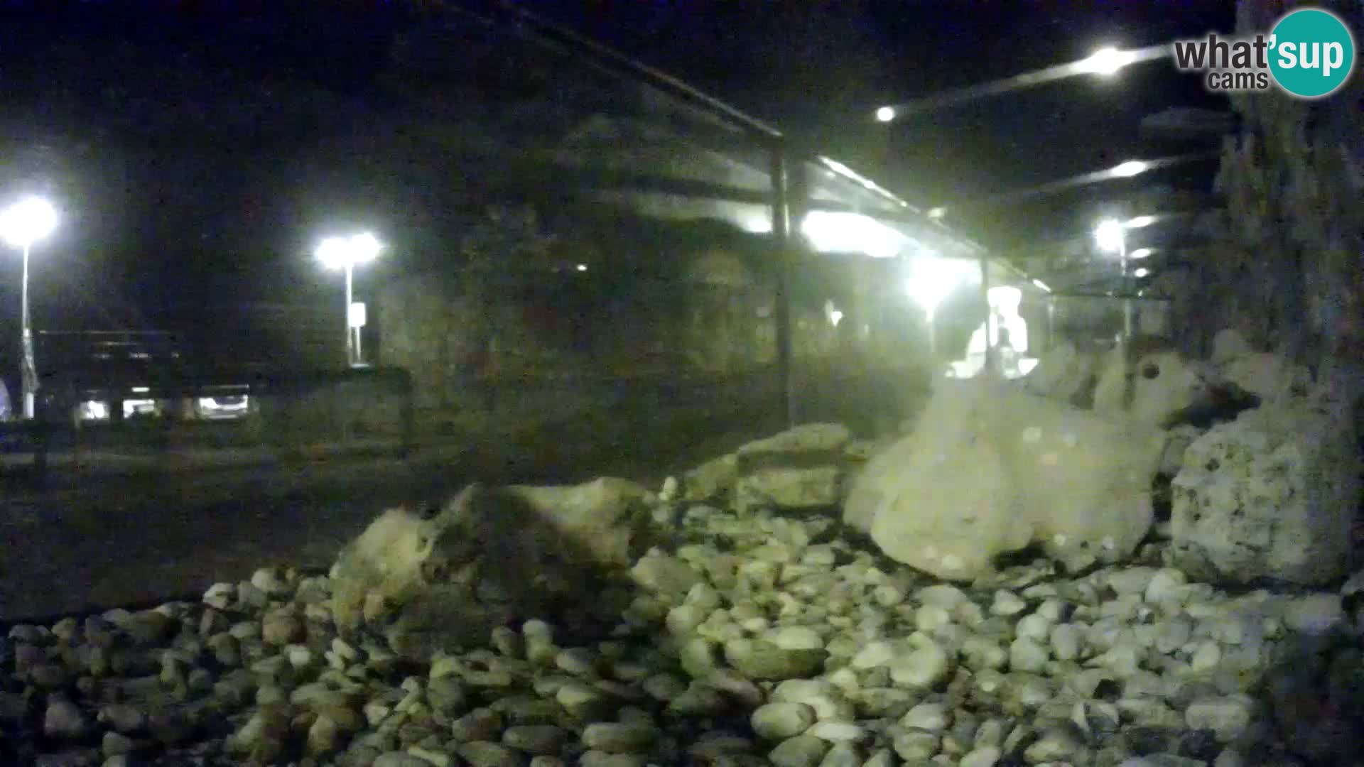 Marine Aquarium im Freien Rogoznica webcam Kroatien