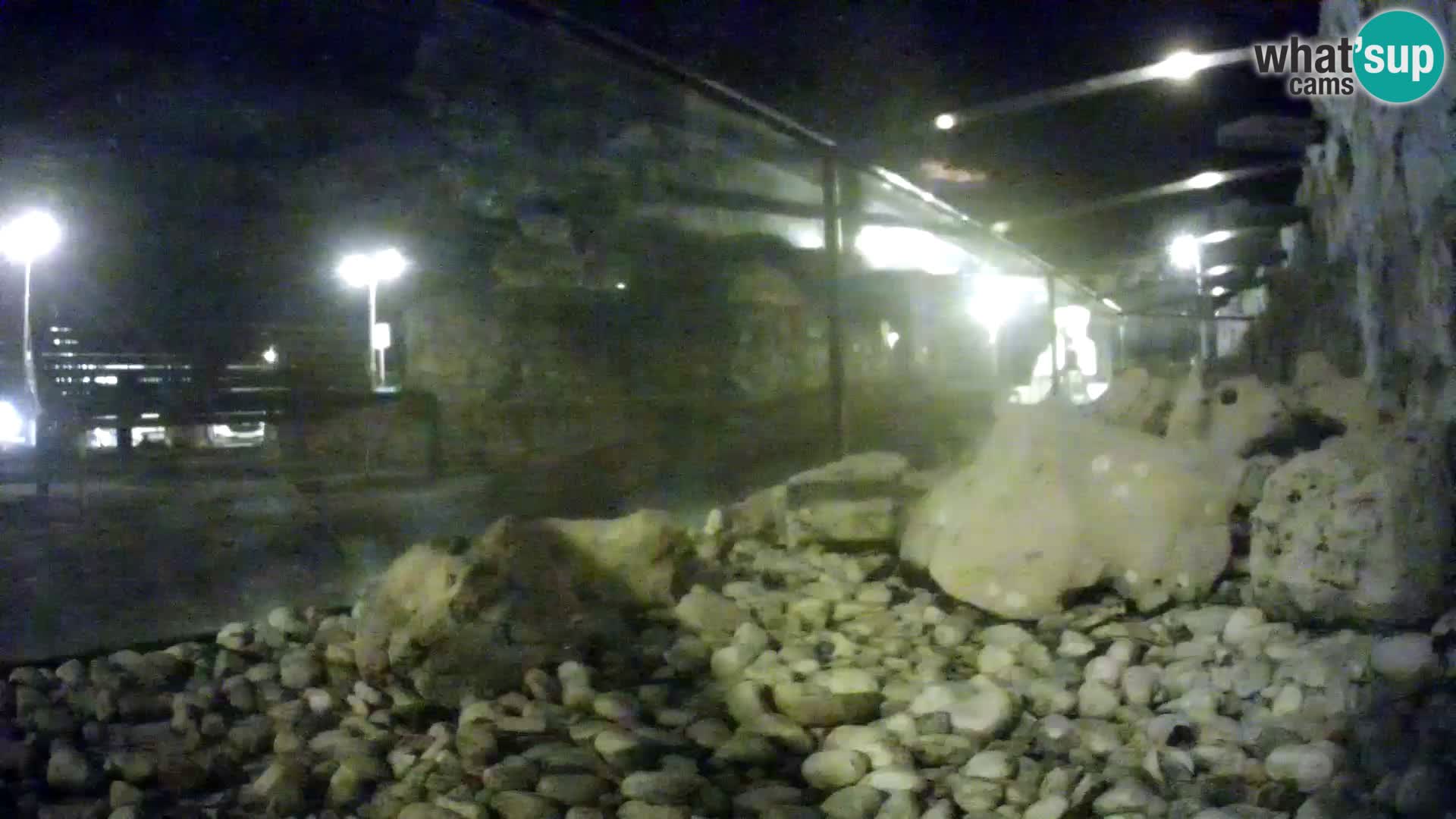 Outdoor Marine Aquarium Rogoznica webcam Croatia