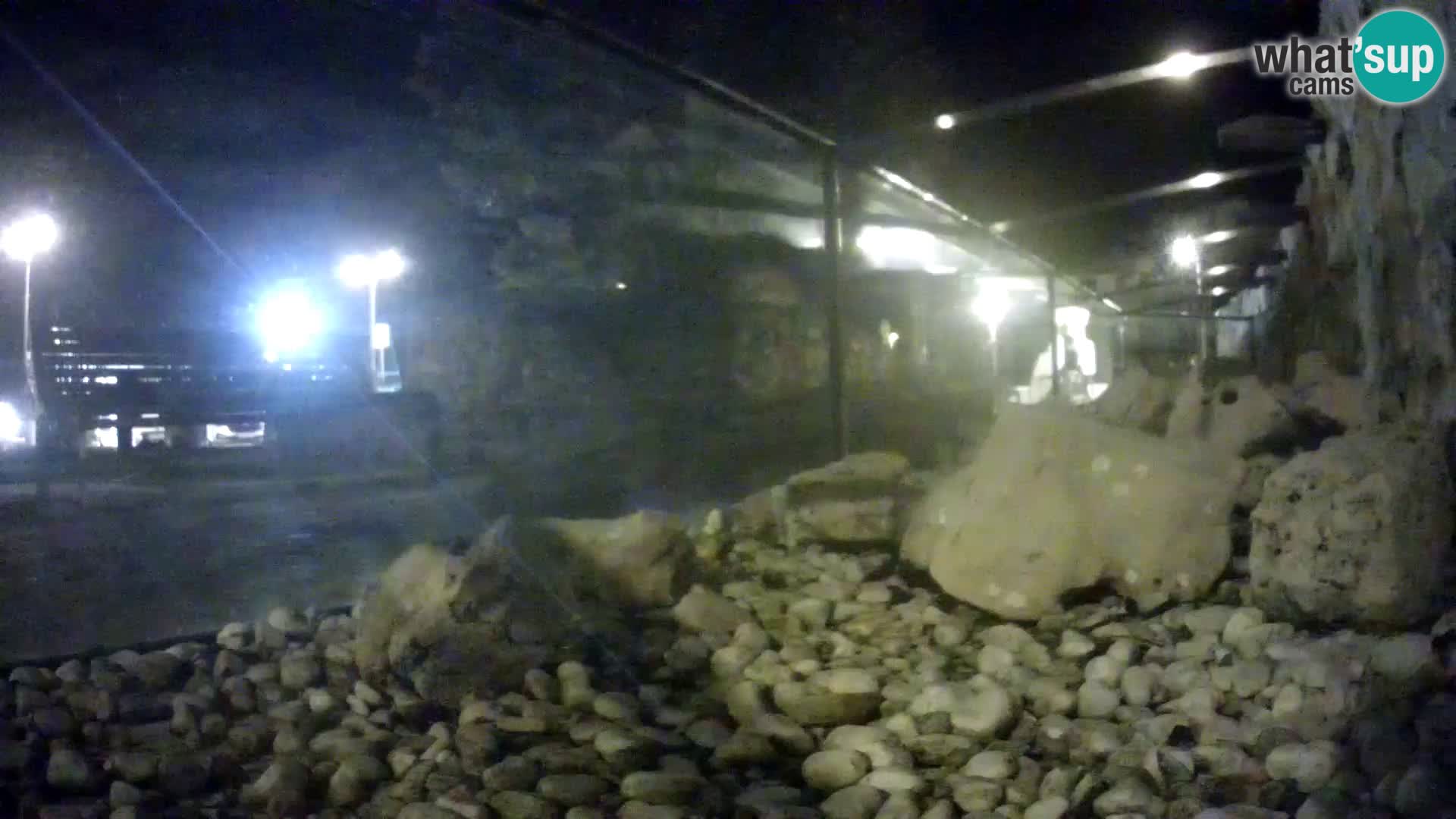 Aquario marino esterno –  Rogoznica livecam Croazia
