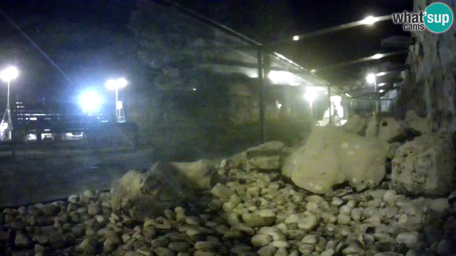 Marine Aquarium im Freien Rogoznica webcam Kroatien