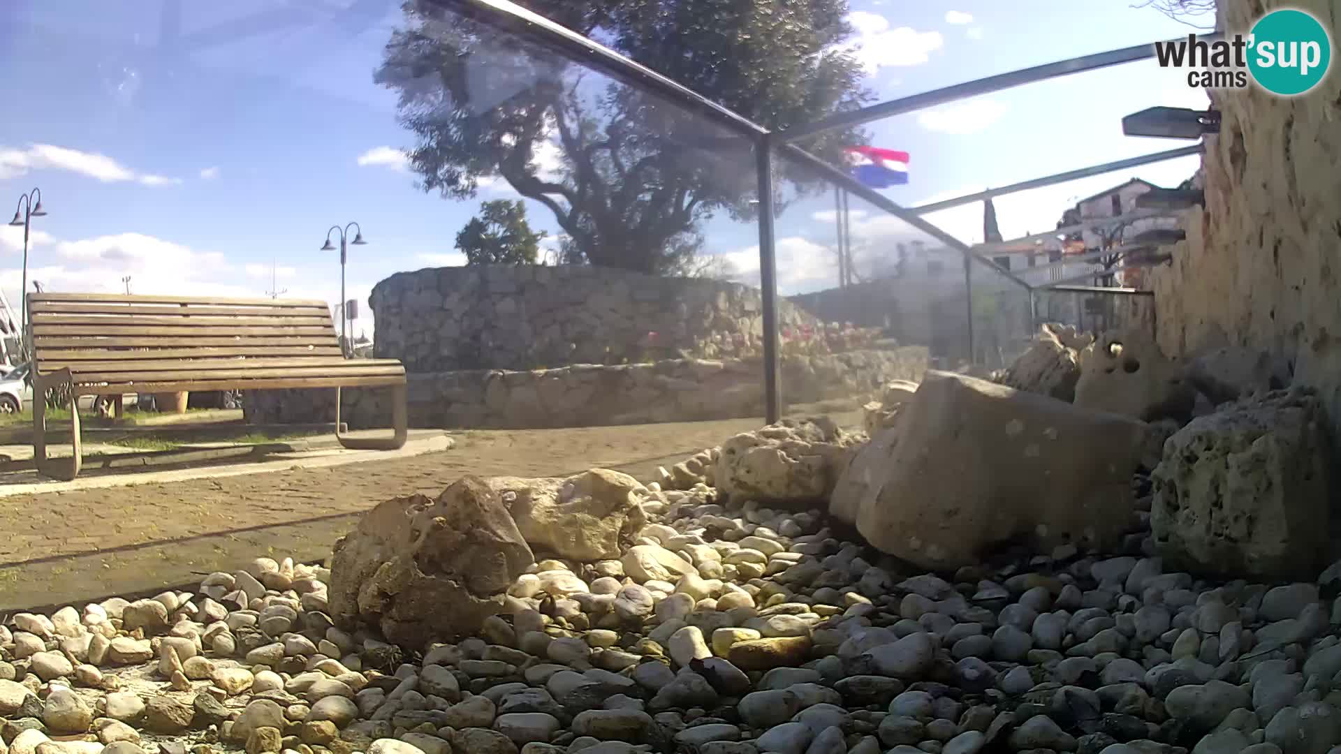 Aquario marino esterno –  Rogoznica livecam Croazia