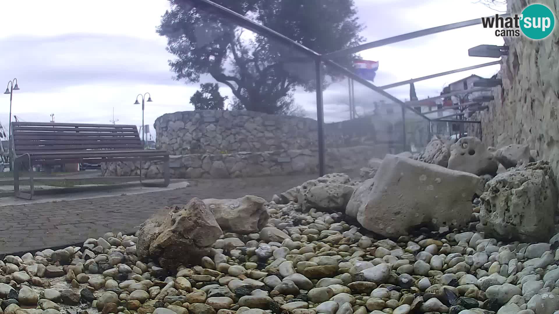 Zunanji morski akvarij Rogoznica spletna kamera Hrvaška