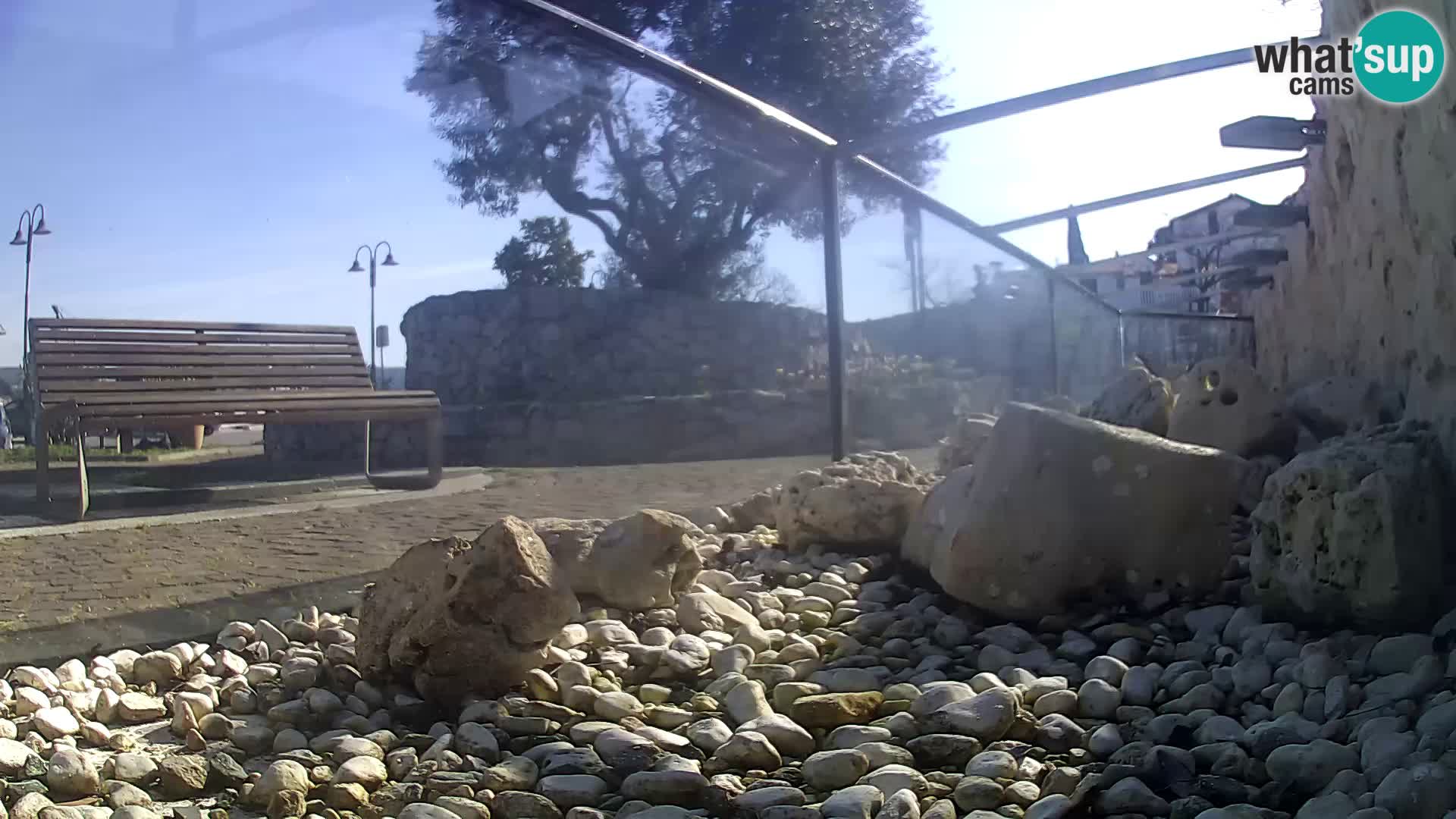 Outdoor Marine Aquarium Rogoznica webcam Croatia