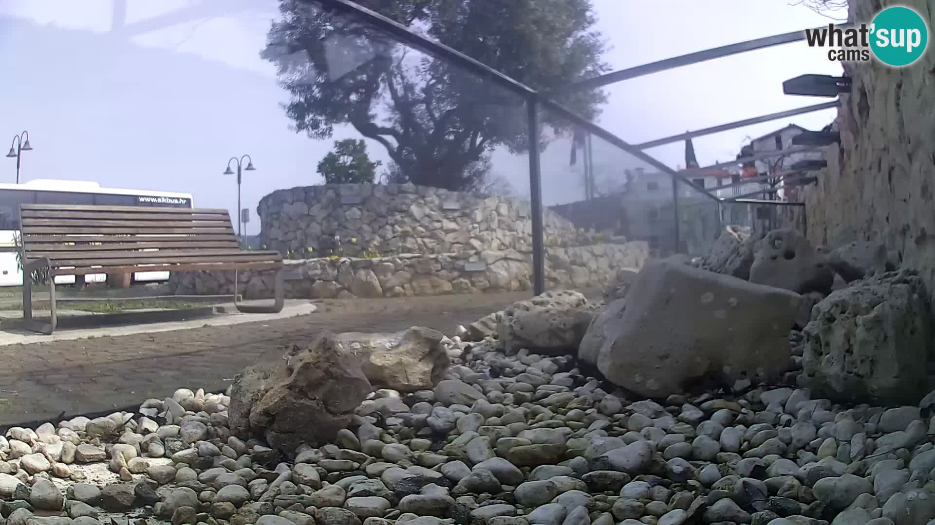 Outdoor Marine Aquarium Rogoznica webcam Croatia