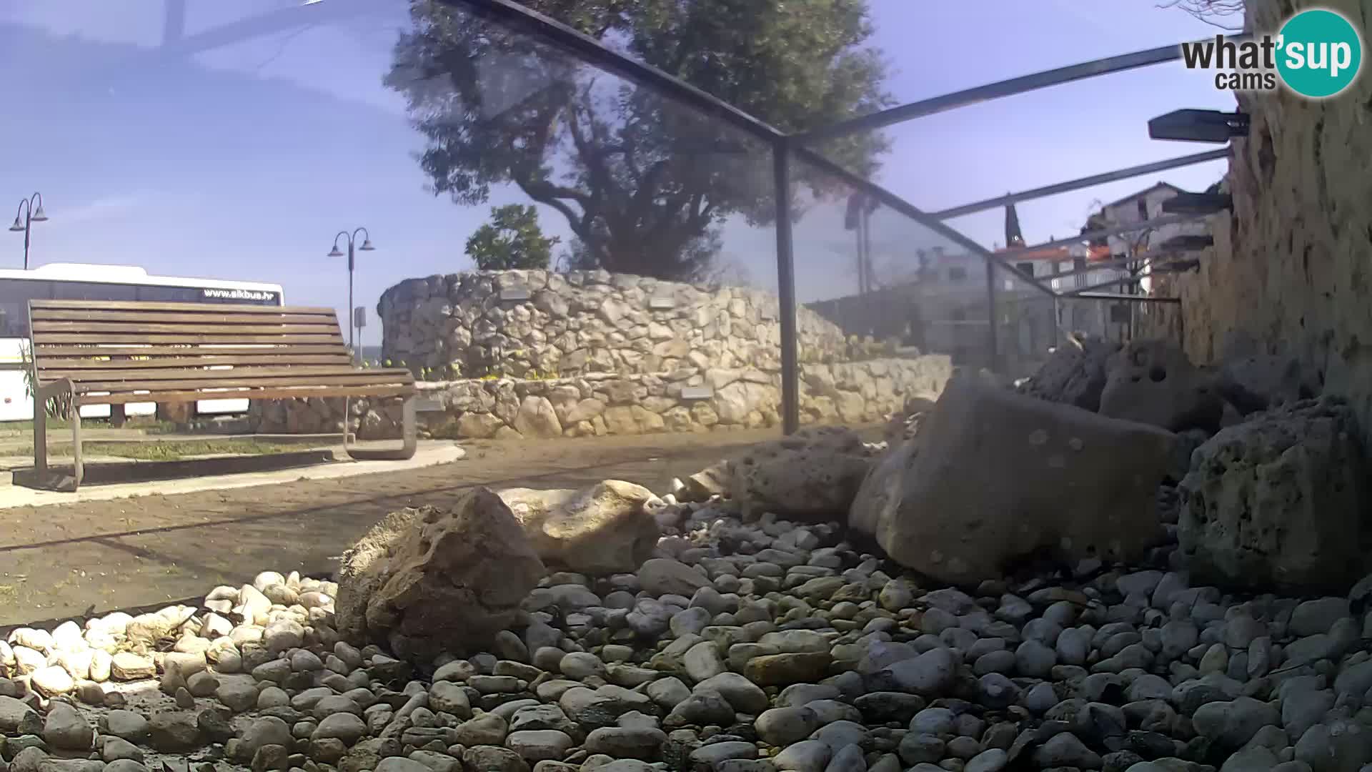 Outdoor Marine Aquarium Rogoznica webcam Croatia