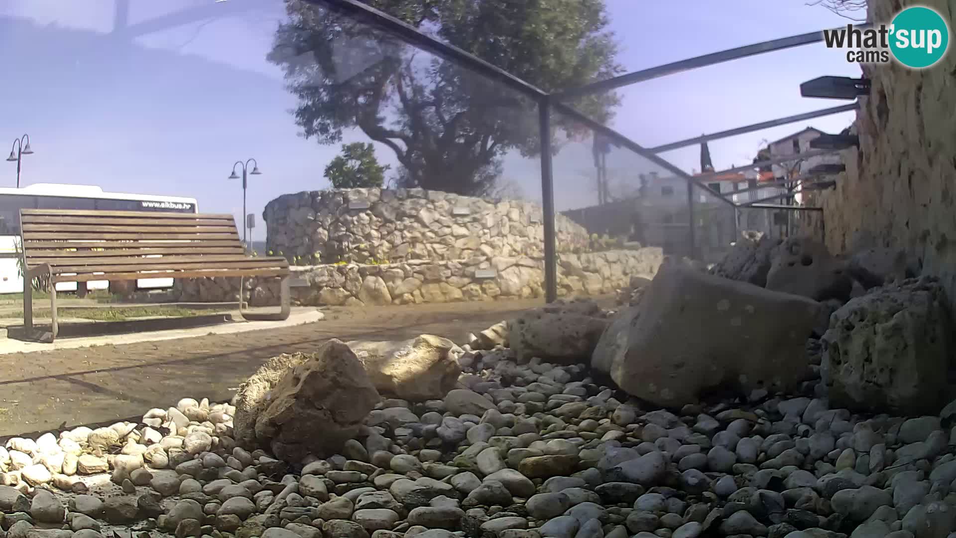 Vanjski morski akvarij Rogoznica web kamera Hrvatska