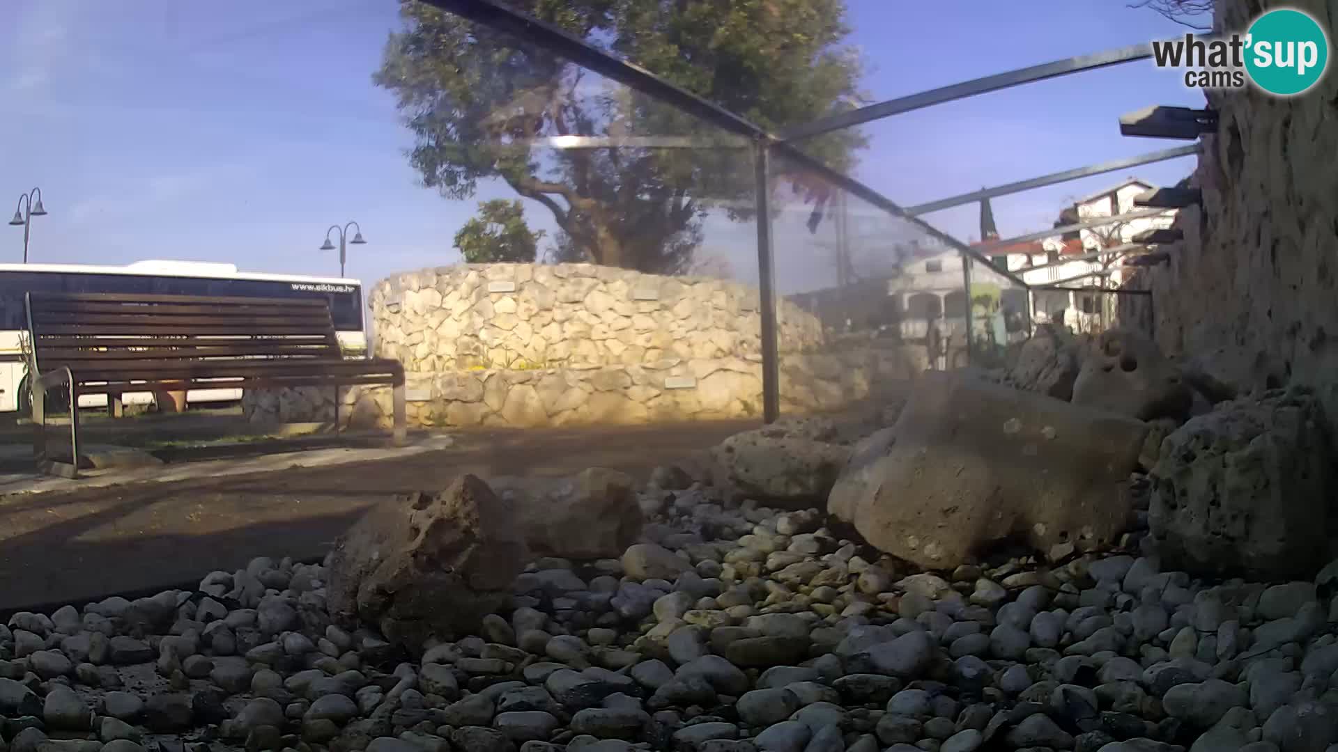 Vanjski morski akvarij Rogoznica web kamera Hrvatska