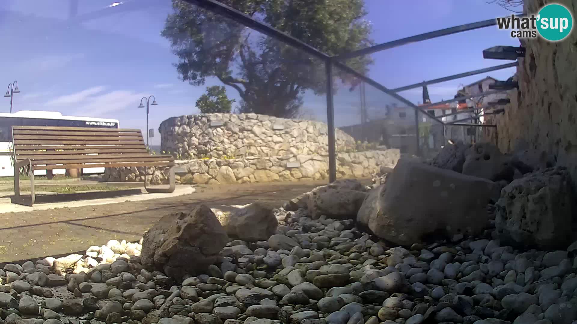 Marine Aquarium im Freien Rogoznica webcam Kroatien