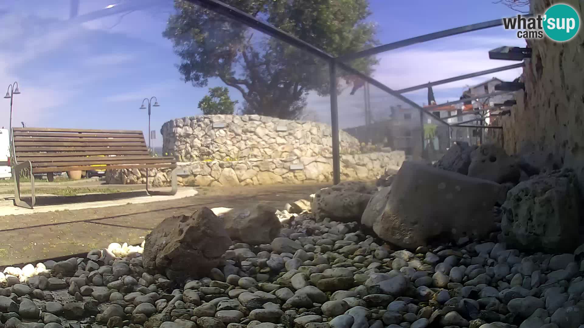 Outdoor Marine Aquarium Rogoznica webcam Croatia