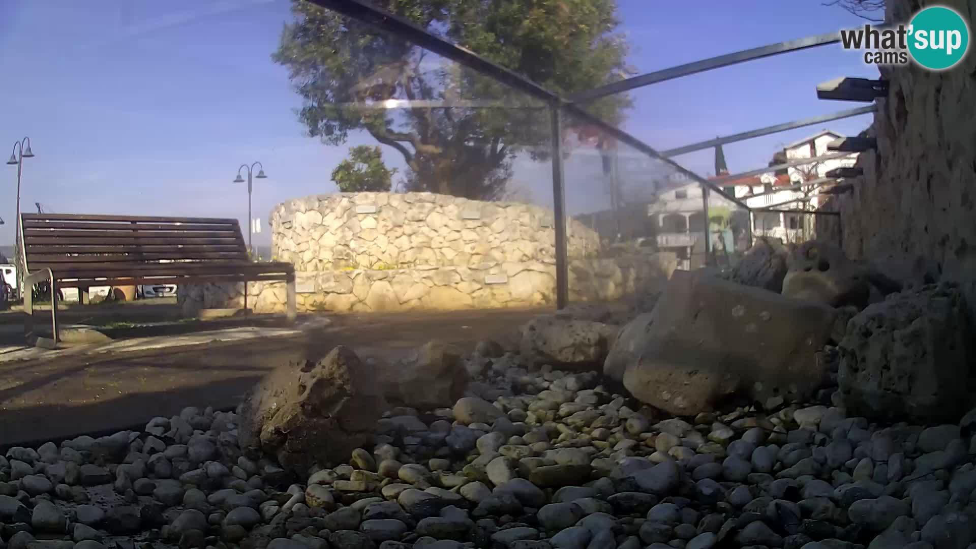 Vanjski morski akvarij Rogoznica web kamera Hrvatska