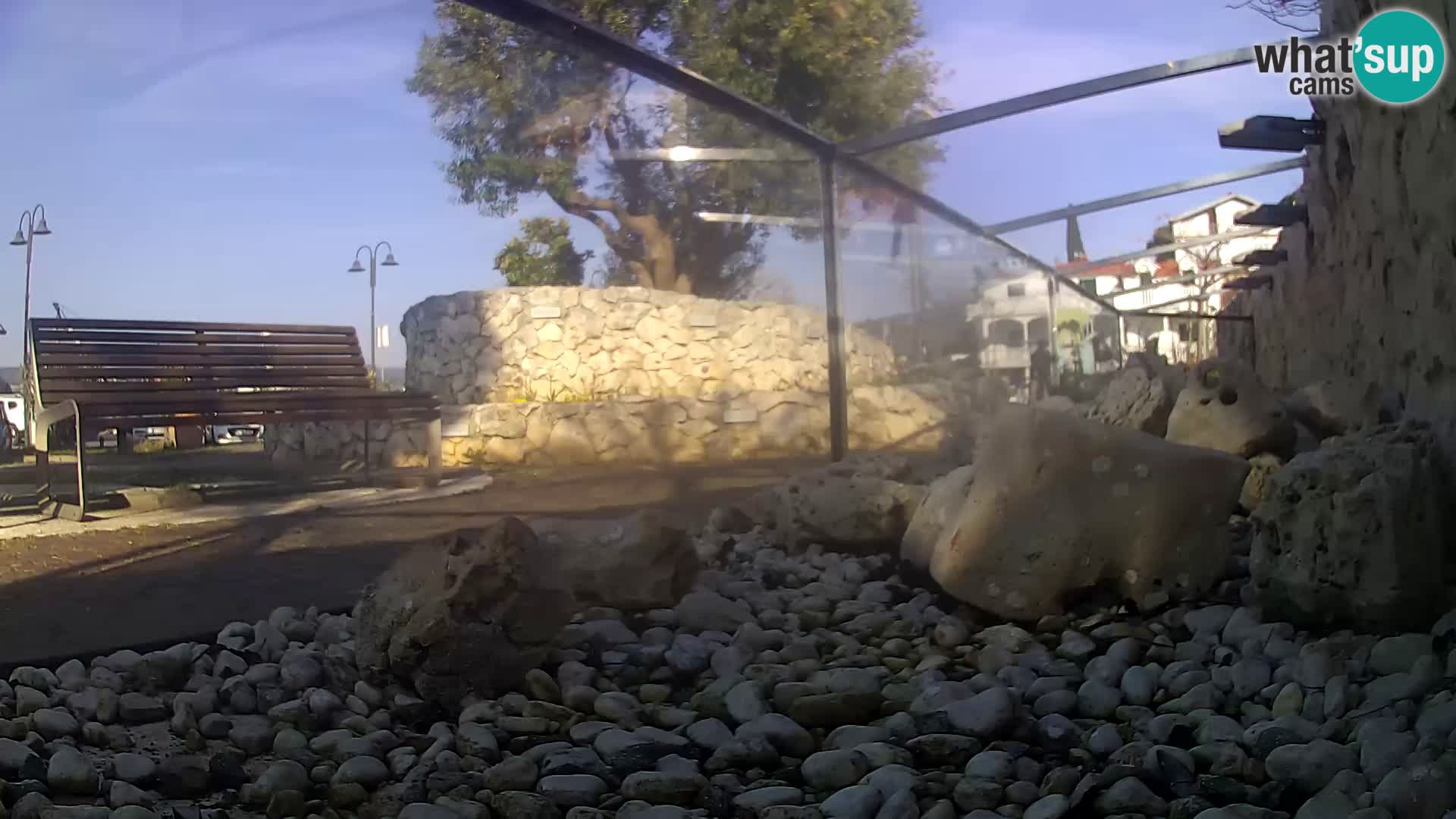 Vanjski morski akvarij Rogoznica web kamera Hrvatska