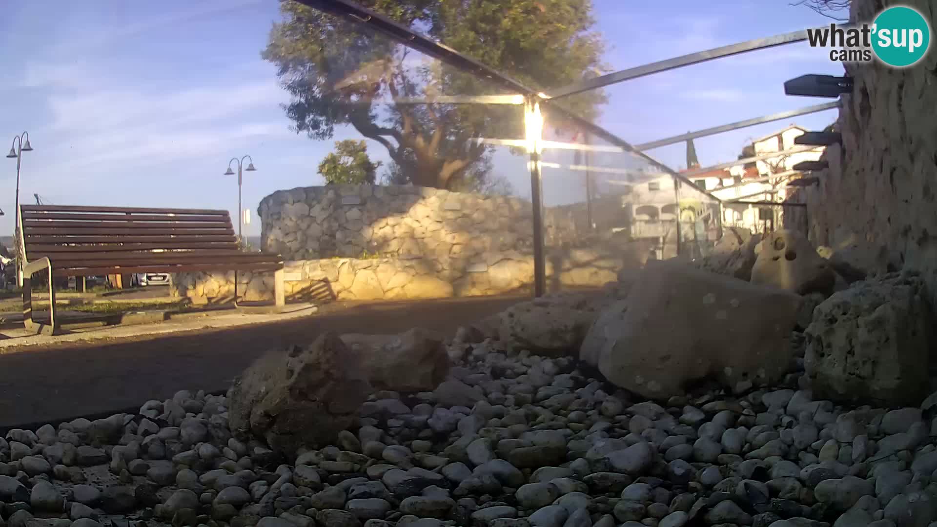 Acuario marino al aire libre Rogoznica webcam Croacia