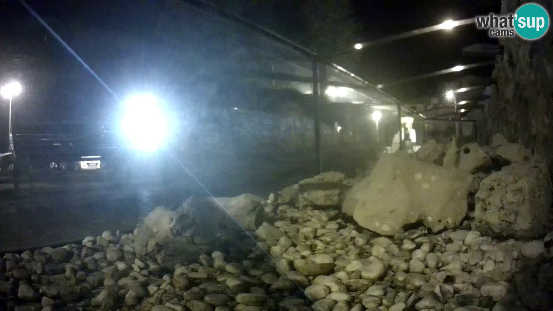 Webcam de l’aquarium marin extérieur de Rogoznica Croatie