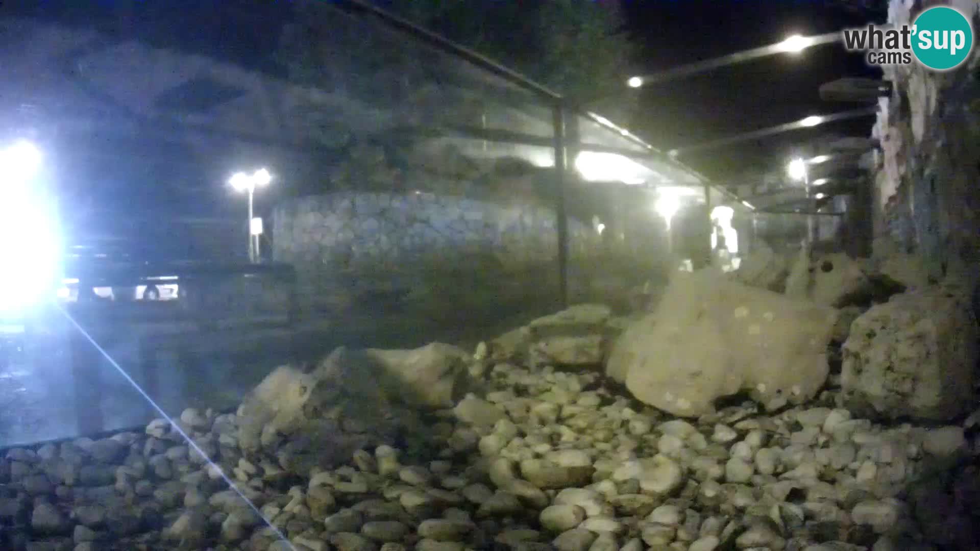 Marine Aquarium im Freien Rogoznica webcam Kroatien