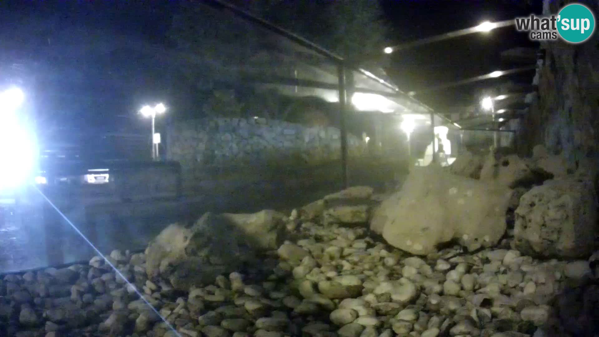 Webcam de l’aquarium marin extérieur de Rogoznica Croatie