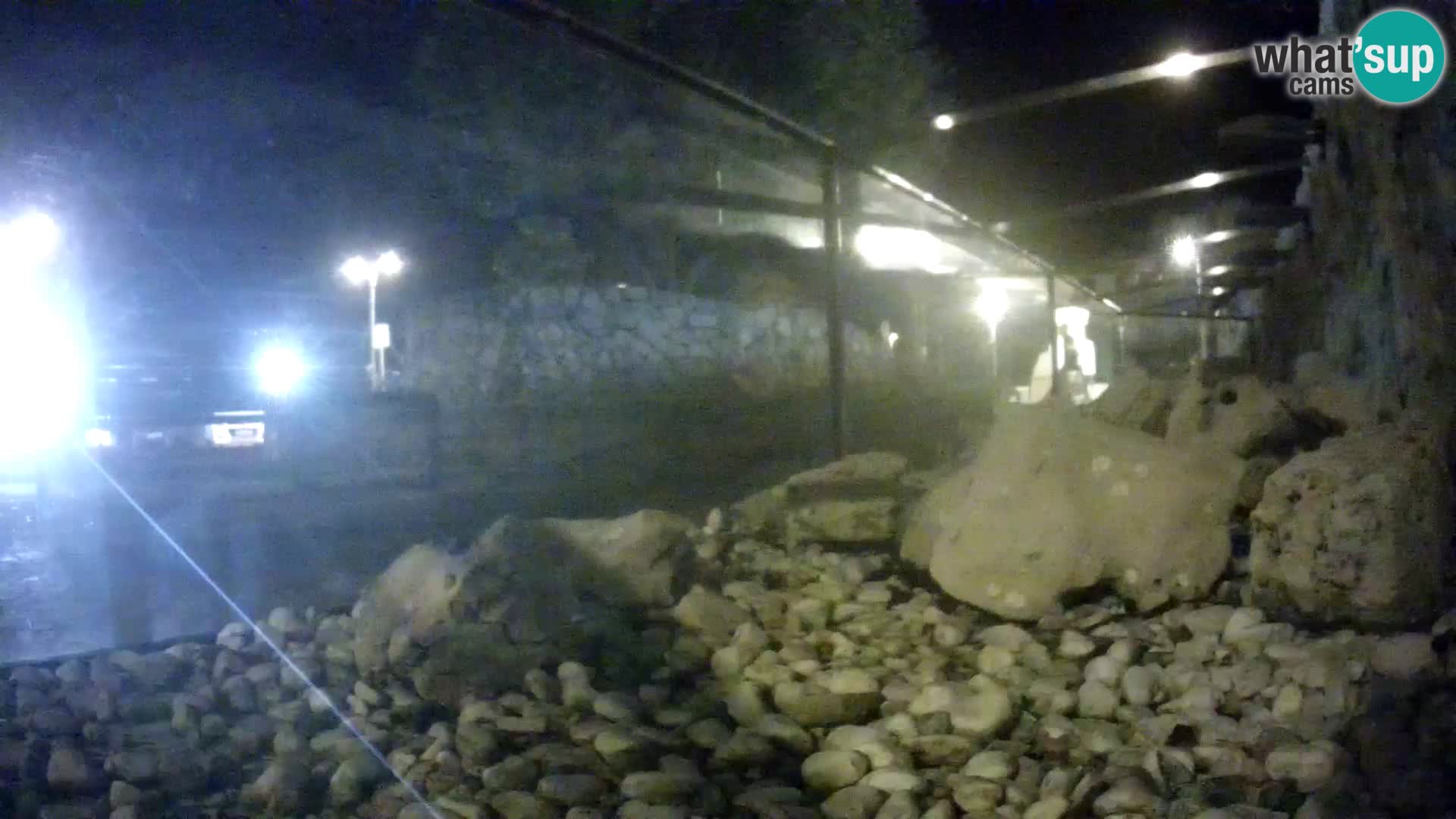 Zunanji morski akvarij Rogoznica spletna kamera Hrvaška