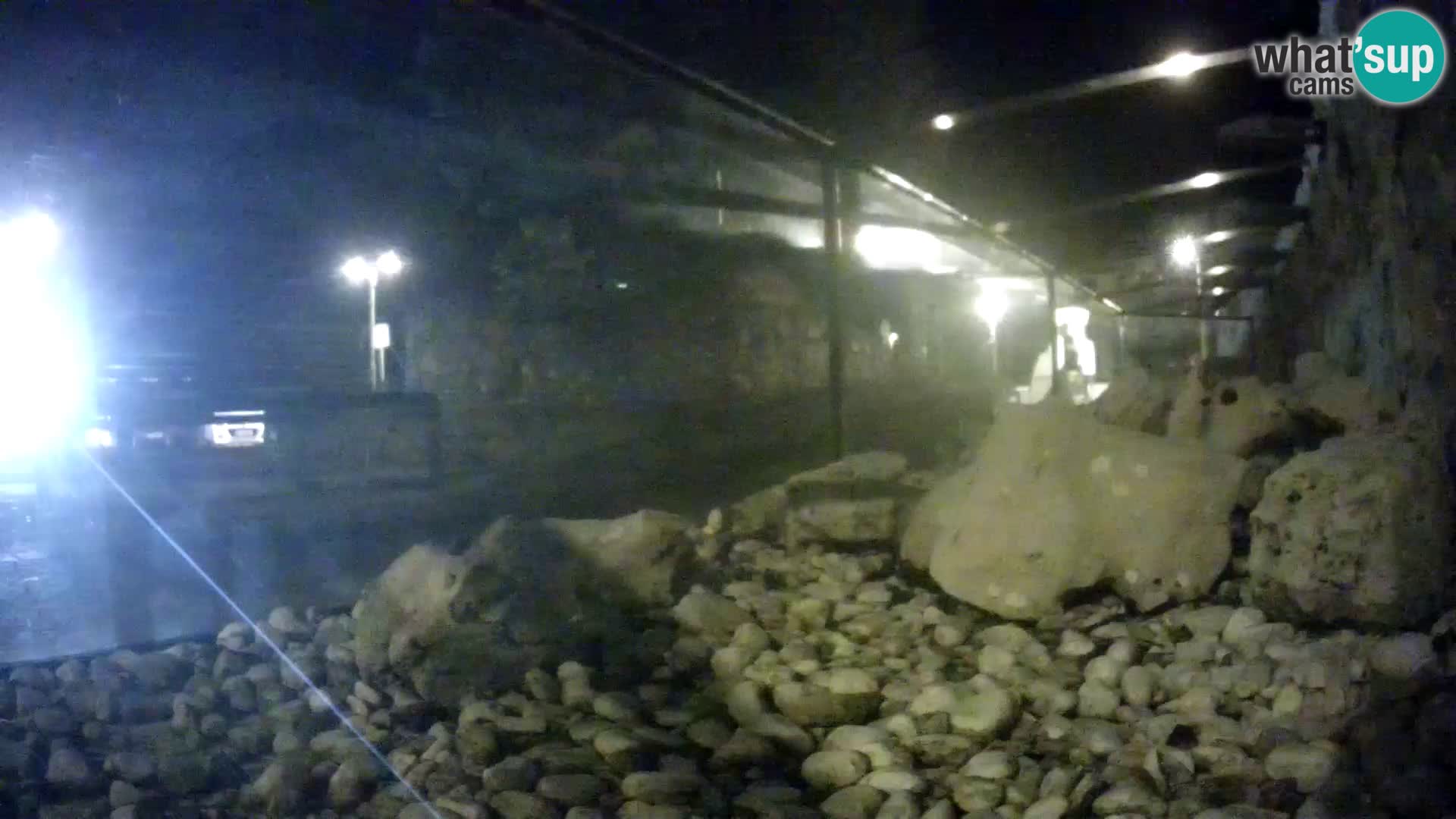 Webcam de l’aquarium marin extérieur de Rogoznica Croatie