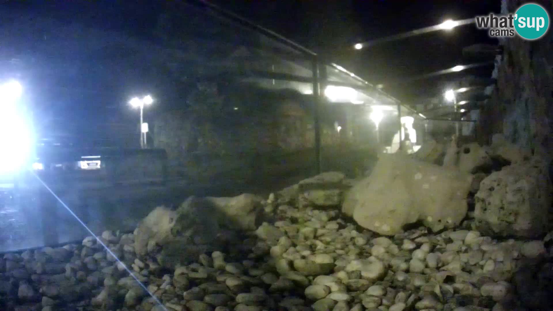 Vanjski morski akvarij Rogoznica web kamera Hrvatska