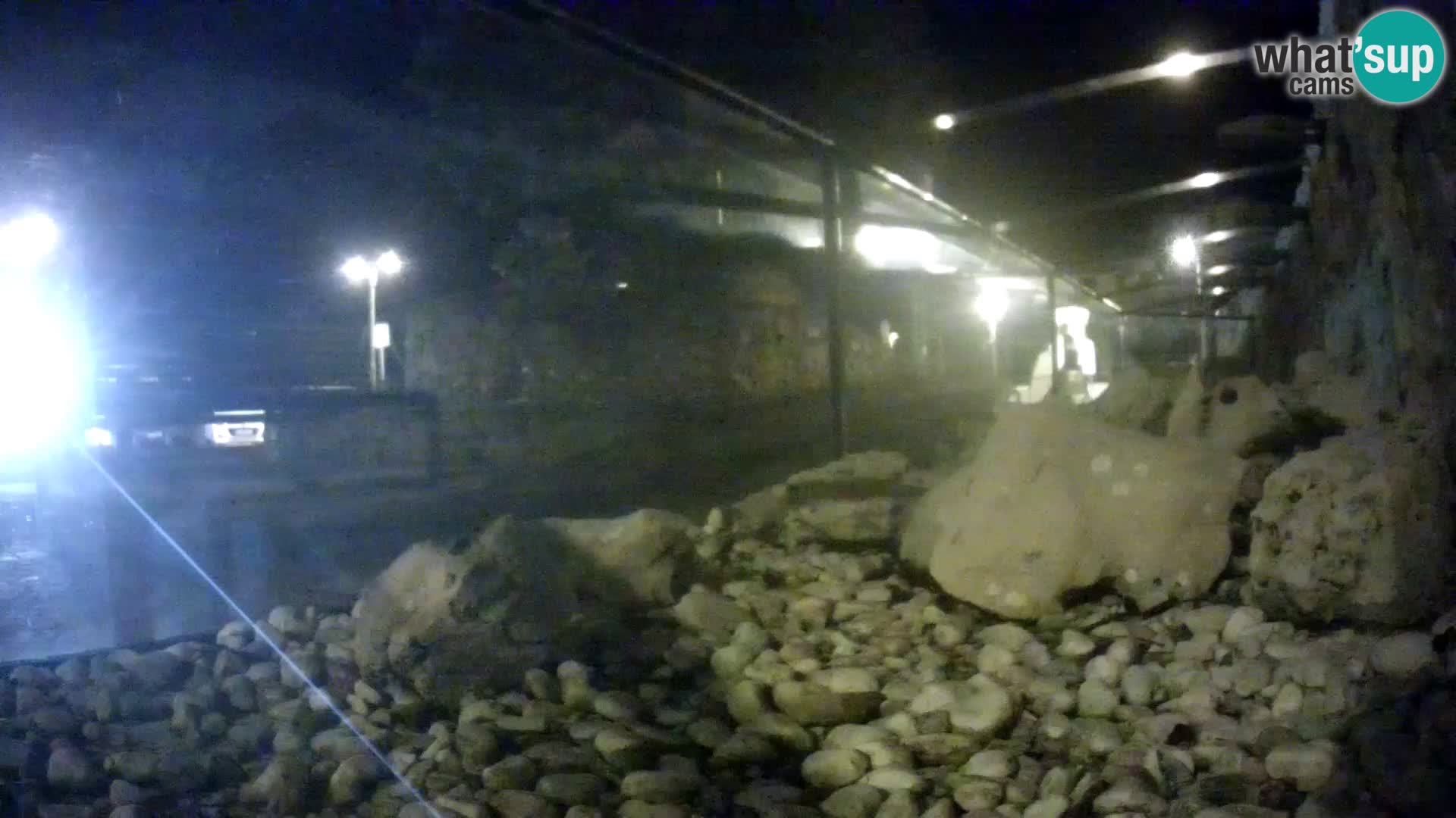 Marine Aquarium im Freien Rogoznica webcam Kroatien