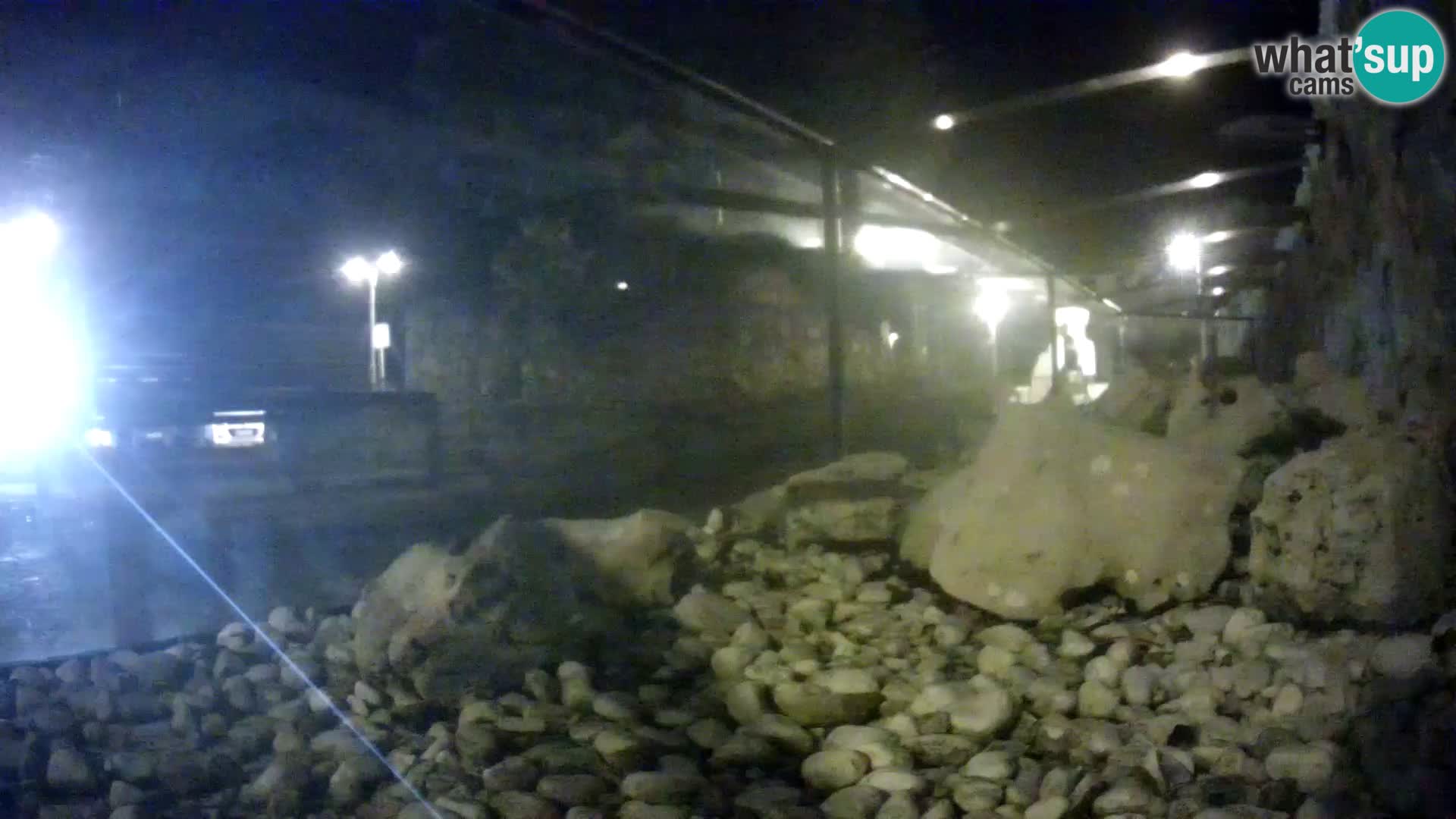 Marine Aquarium im Freien Rogoznica webcam Kroatien