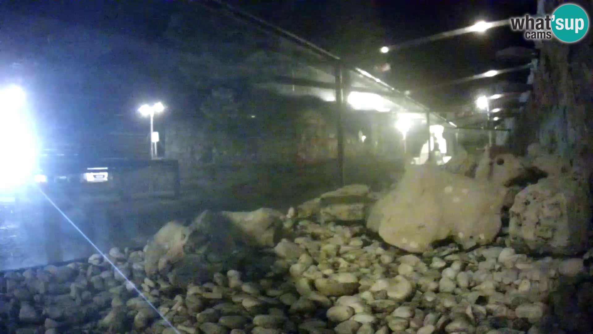 Webcam de l’aquarium marin extérieur de Rogoznica Croatie