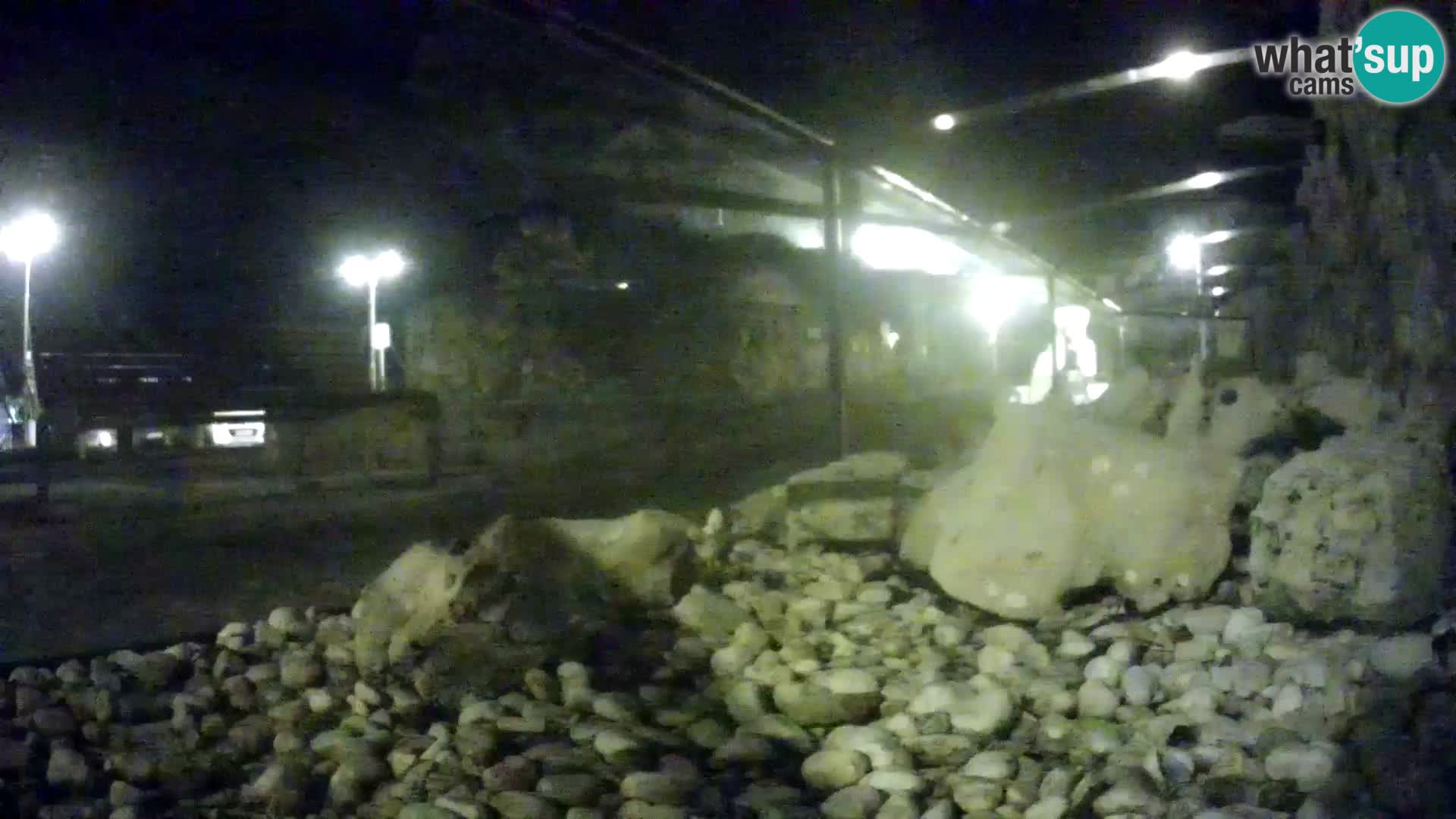 Aquario marino esterno –  Rogoznica livecam Croazia