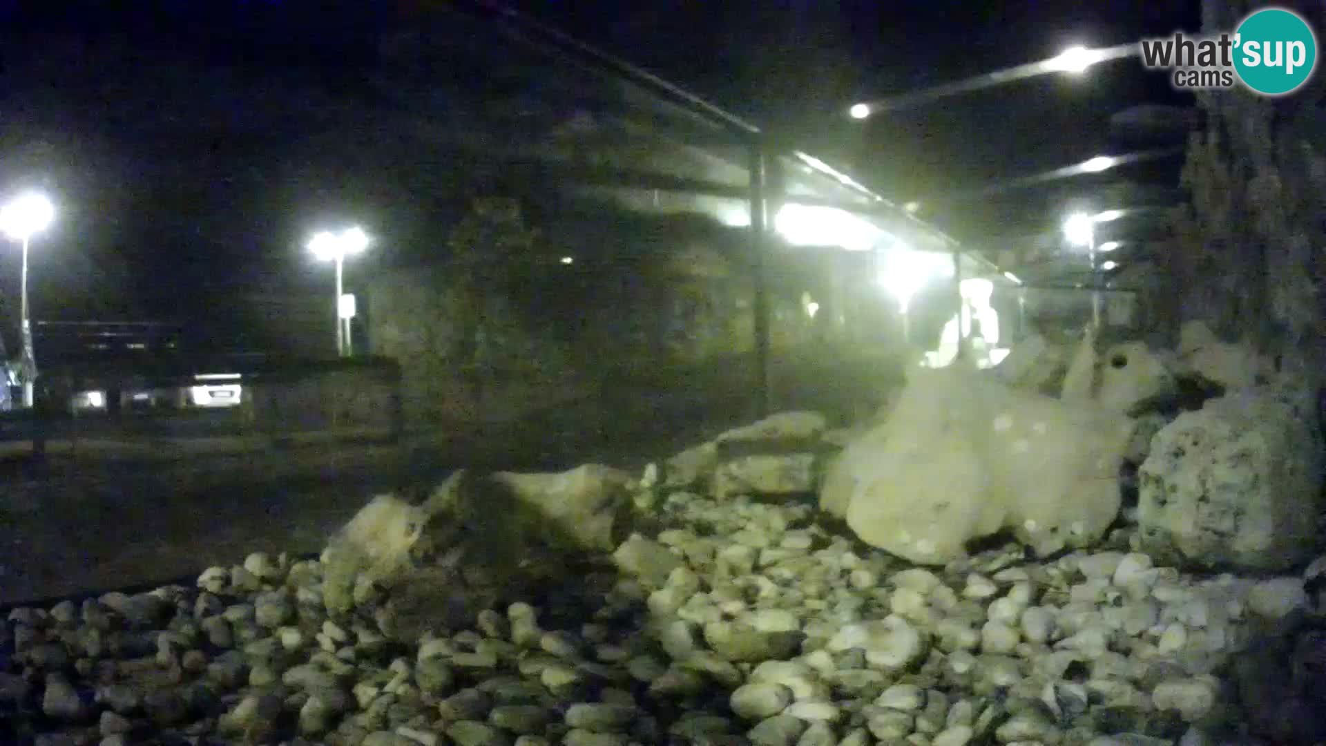 Marine Aquarium im Freien Rogoznica webcam Kroatien