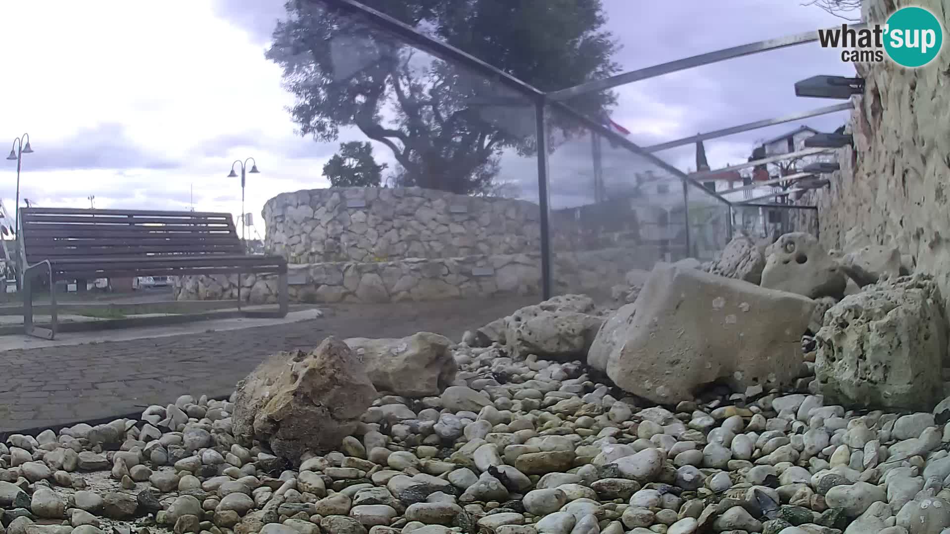 Outdoor Marine Aquarium Rogoznica webcam Croatia