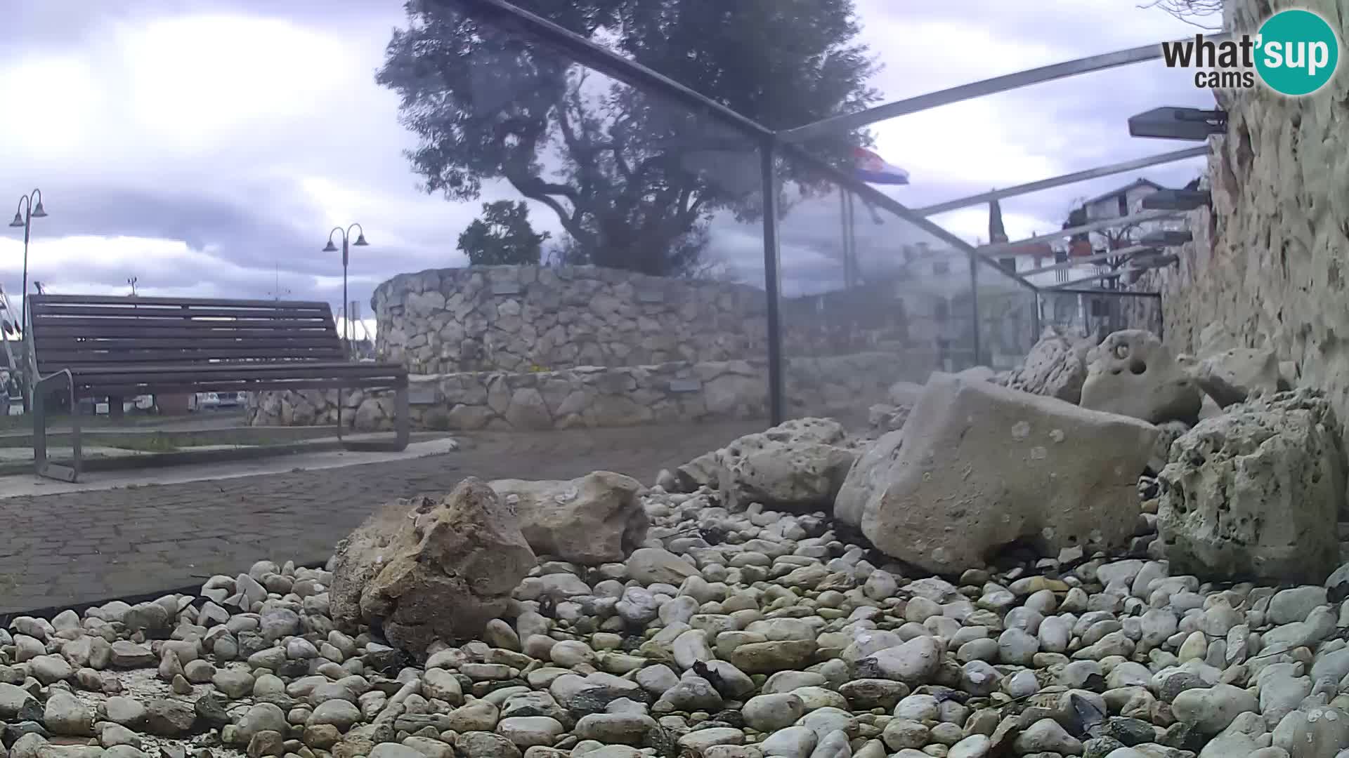 Acuario marino al aire libre Rogoznica webcam Croacia