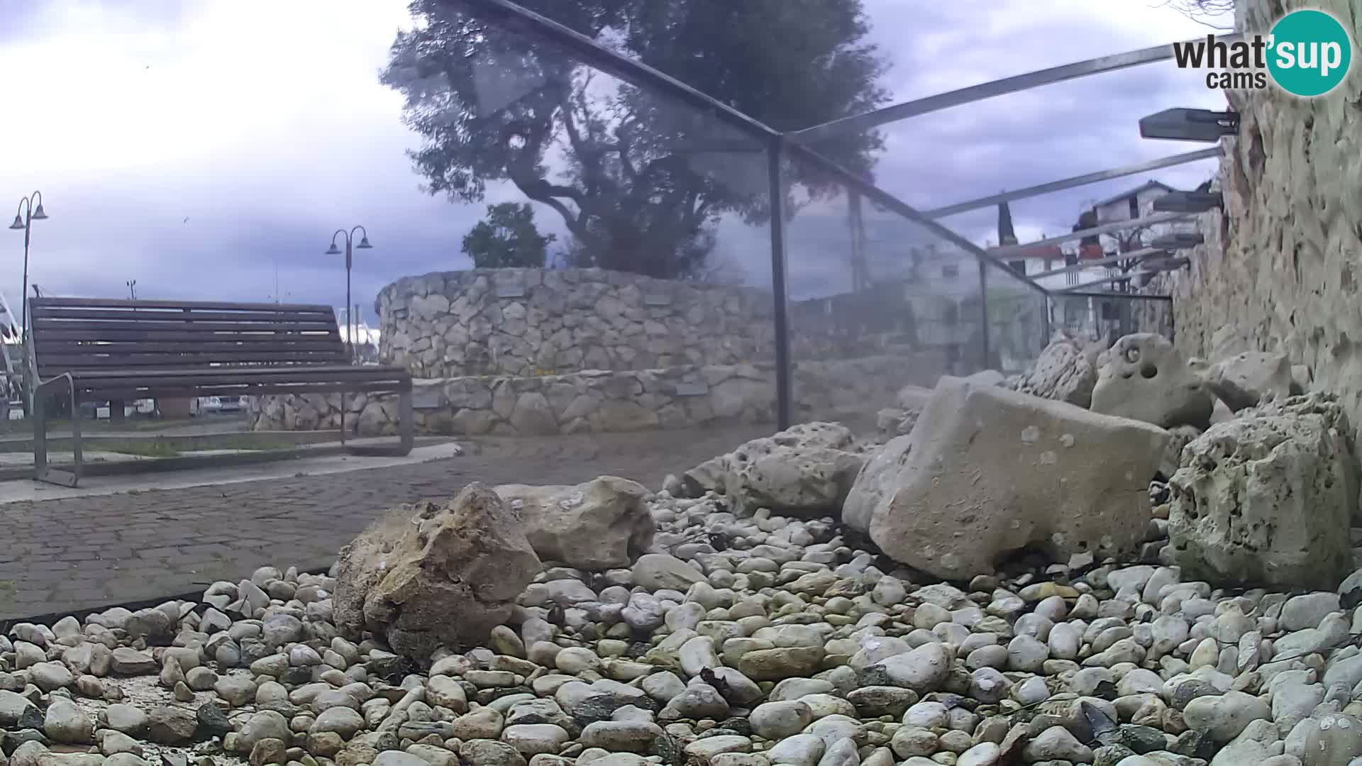 Webcam de l’aquarium marin extérieur de Rogoznica Croatie
