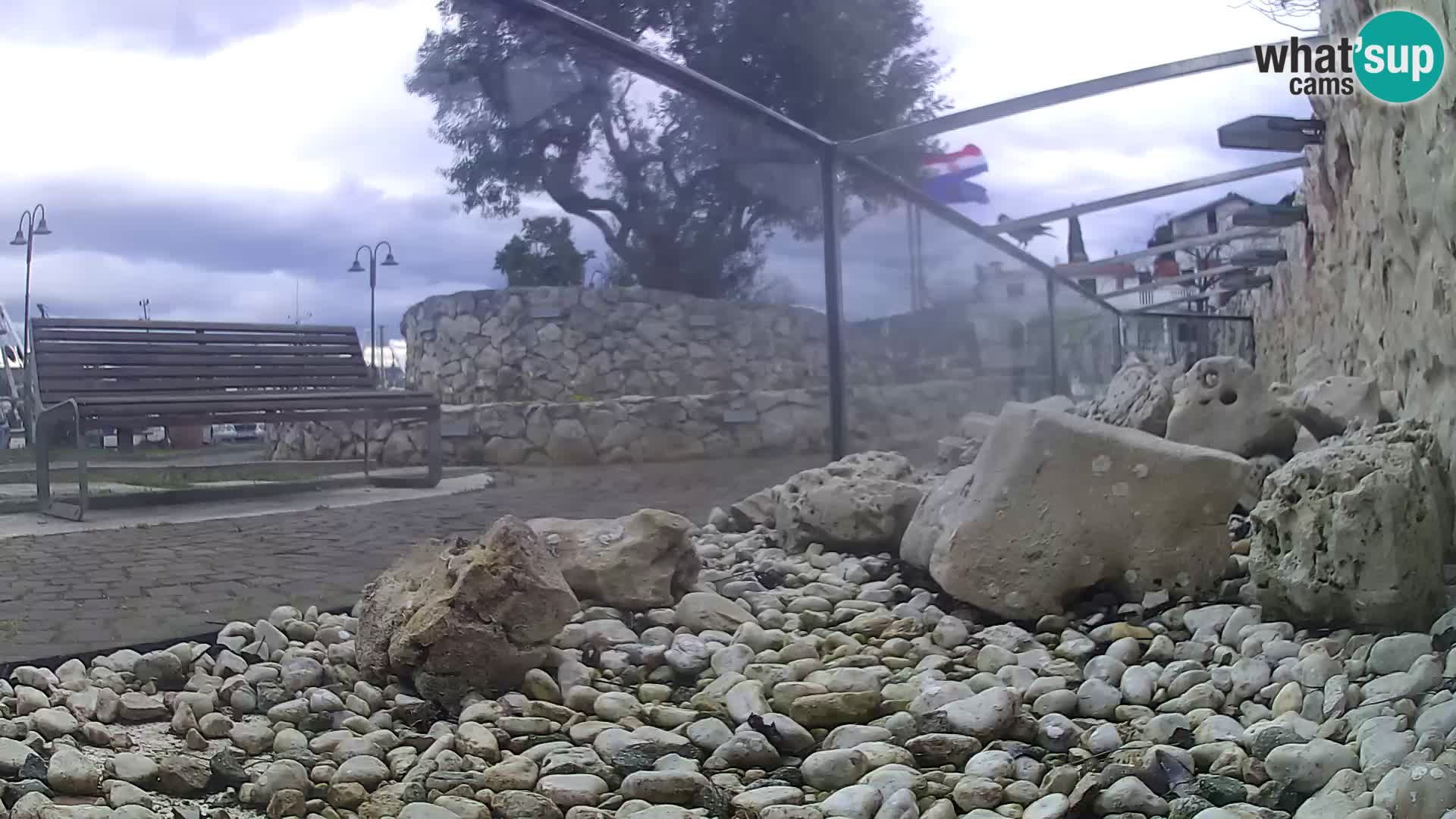 Outdoor Marine Aquarium Rogoznica webcam Croatia