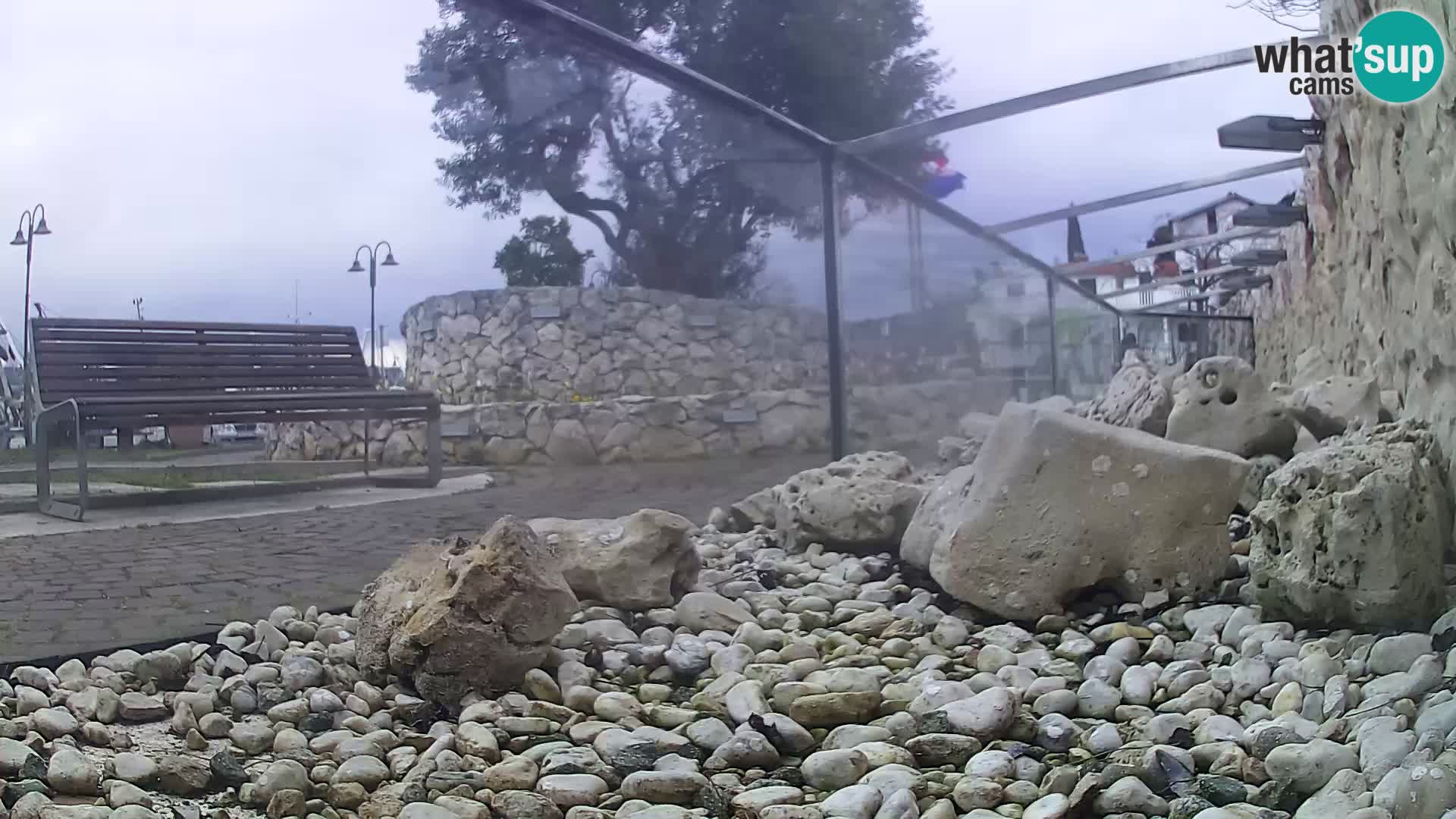 Webcam de l’aquarium marin extérieur de Rogoznica Croatie