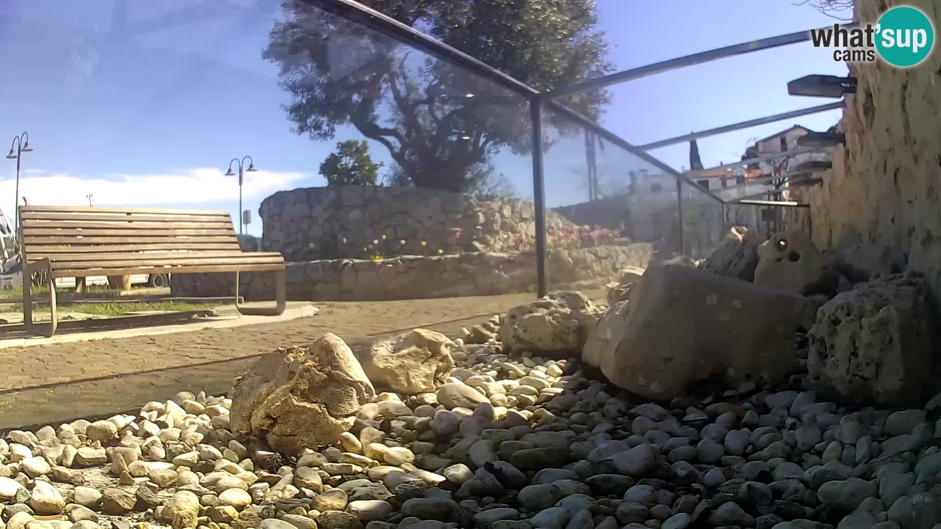 Outdoor Marine Aquarium Rogoznica webcam Croatia