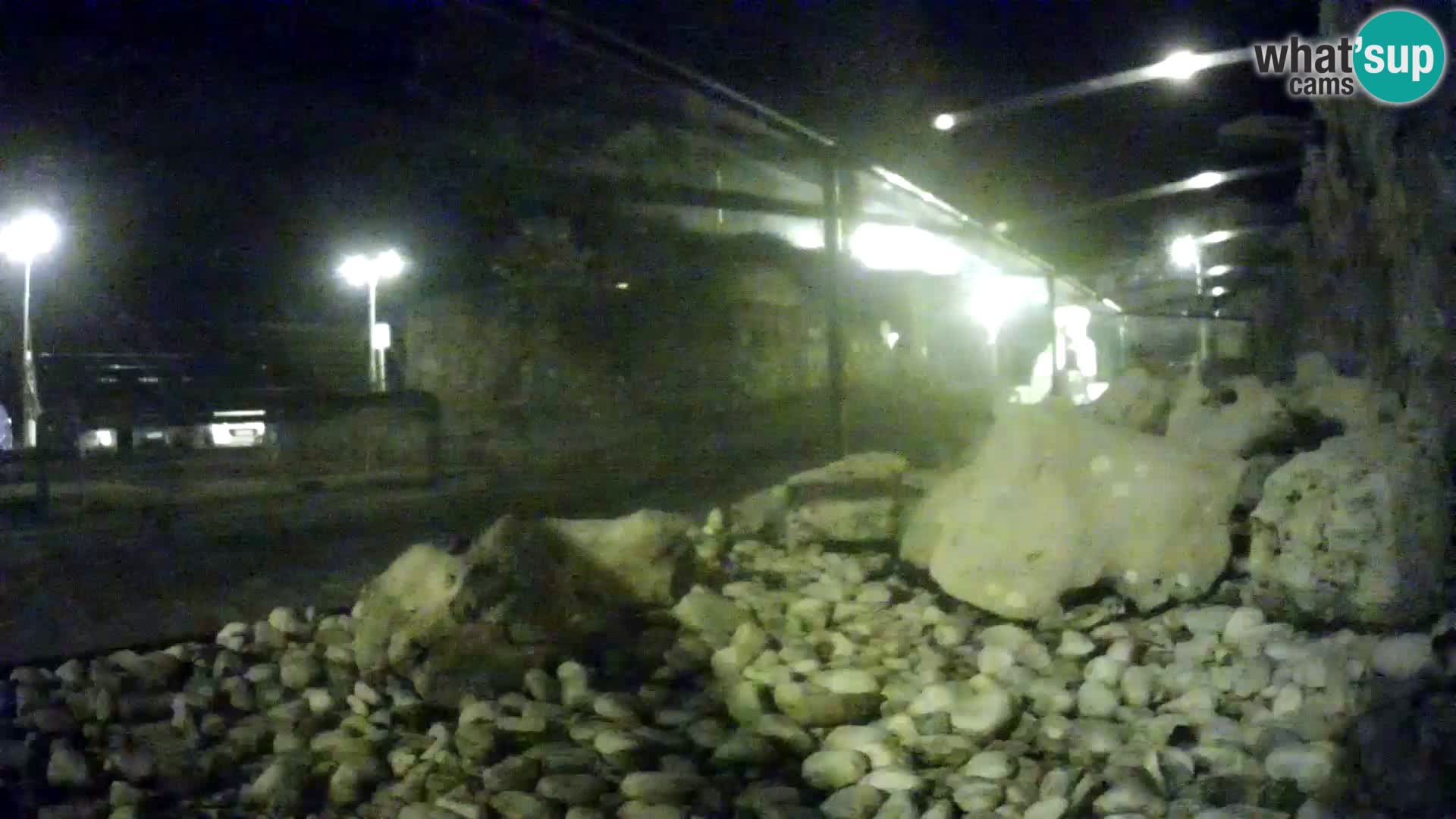 Vanjski morski akvarij Rogoznica web kamera Hrvatska