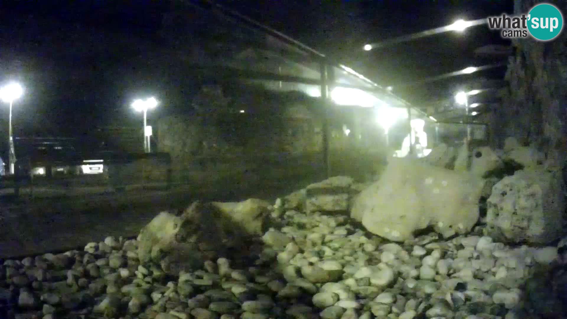 Aquario marino esterno –  Rogoznica livecam Croazia